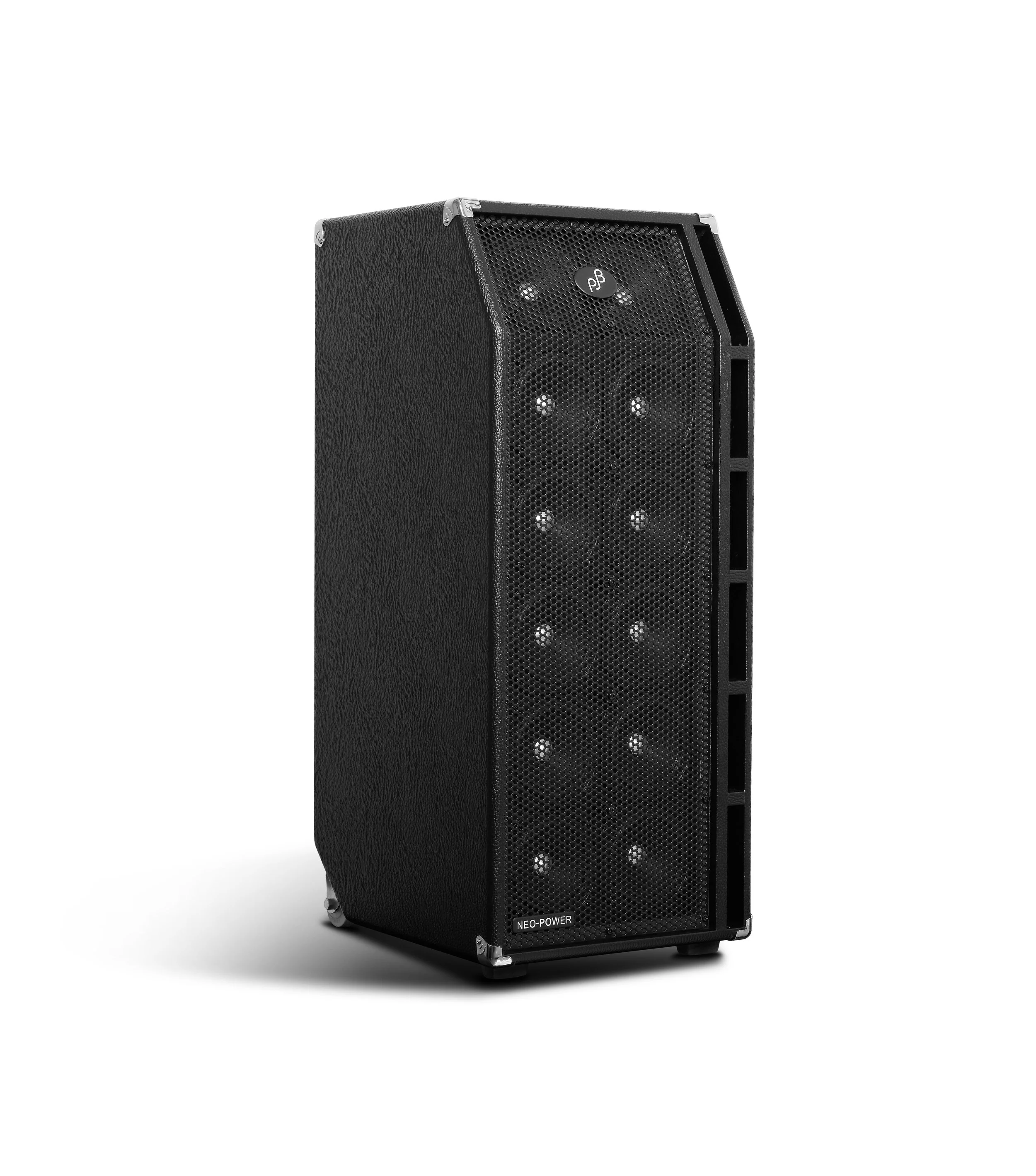 Phil Jones Bass BG-800 Roadcase