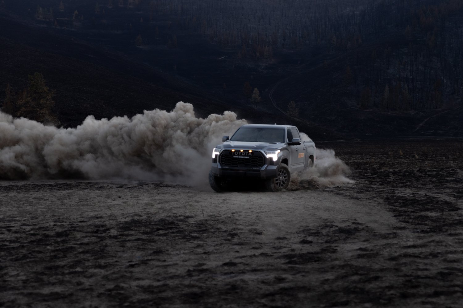 Toyota | Protect the Wild, Play in the Wild | SPEC