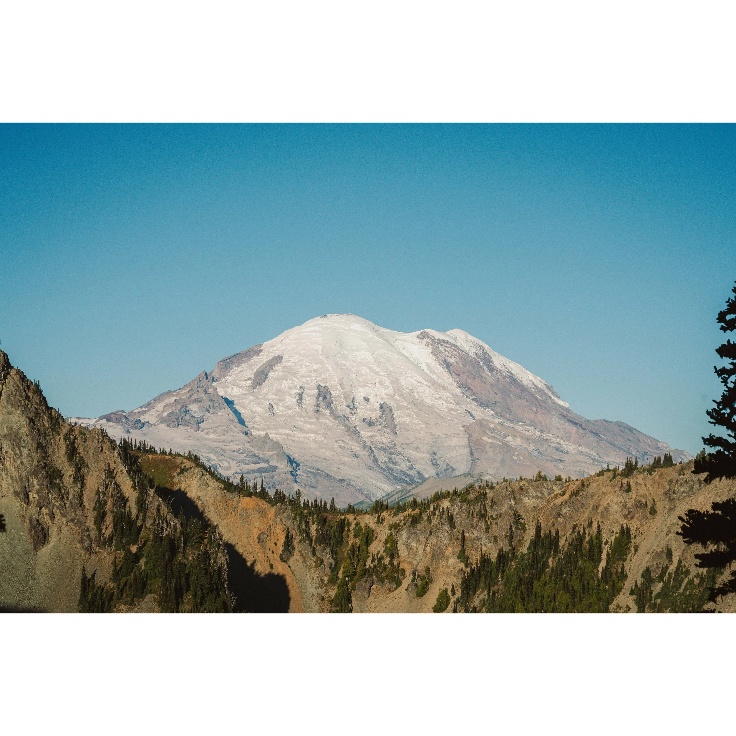 The Great Mount Rainier