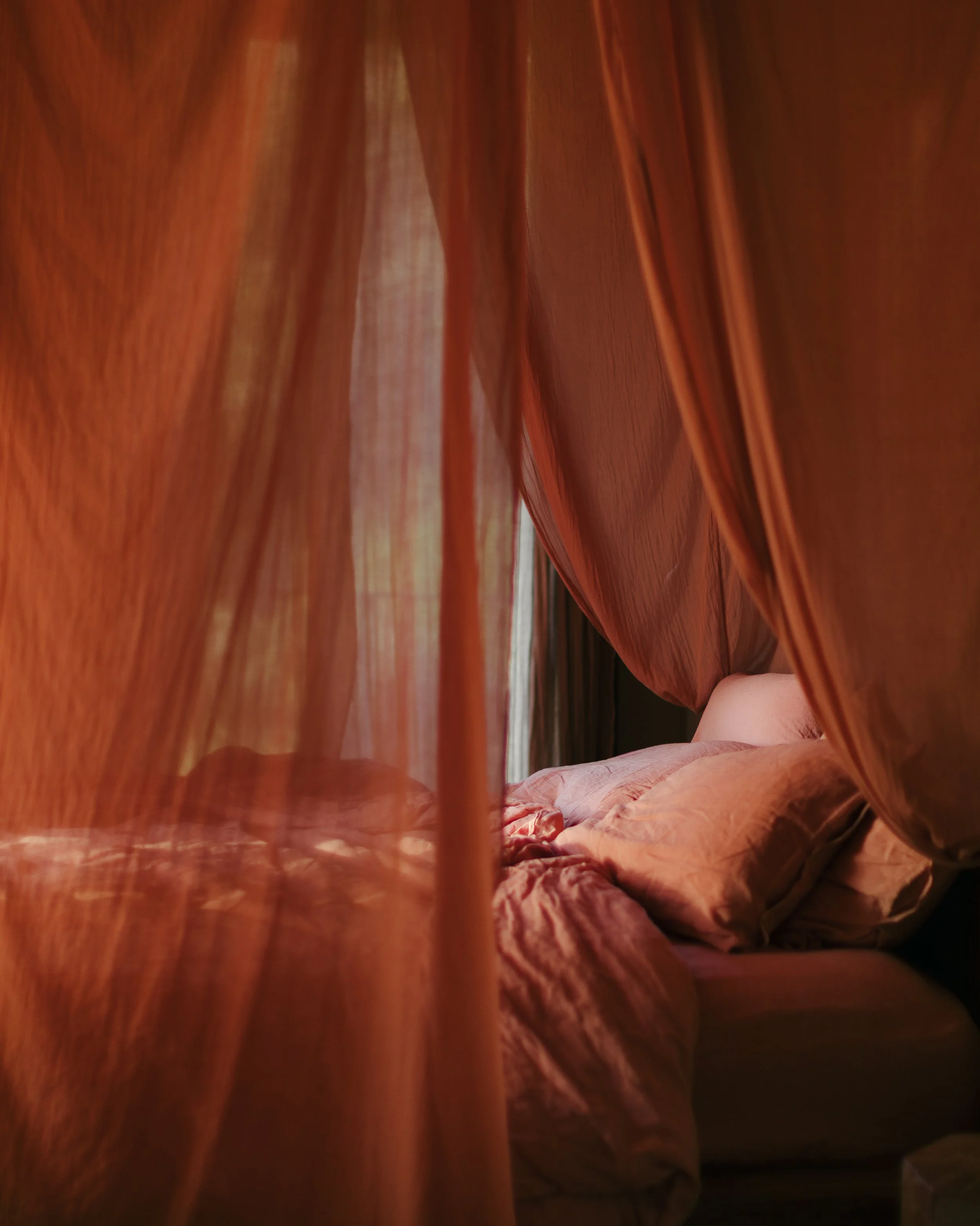 5H3A0468-3.jpg