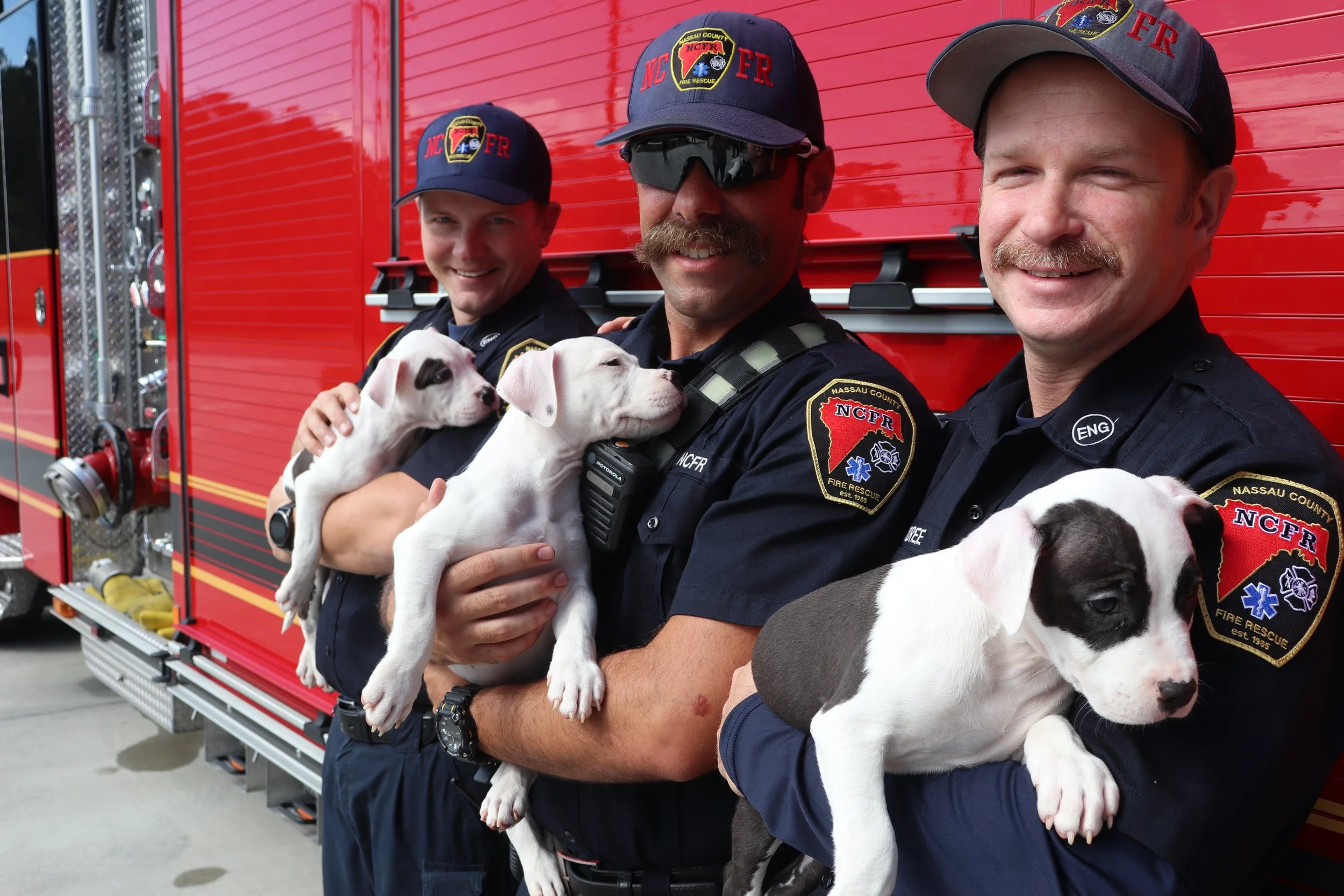 Animal Services — IMAGINE NASSAU