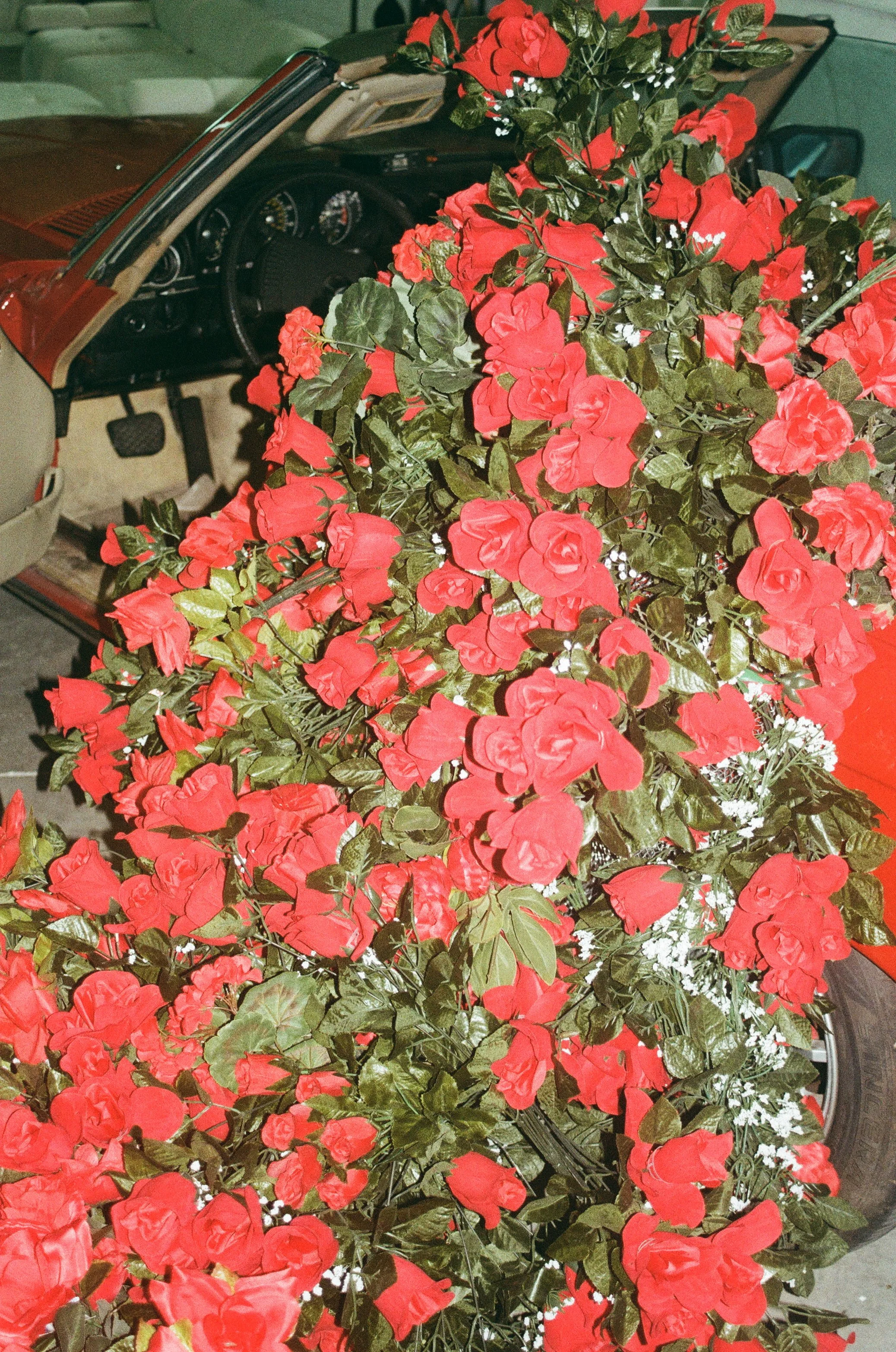 A vintage red and beige convertible car with a large bush of red flowers in front of it.