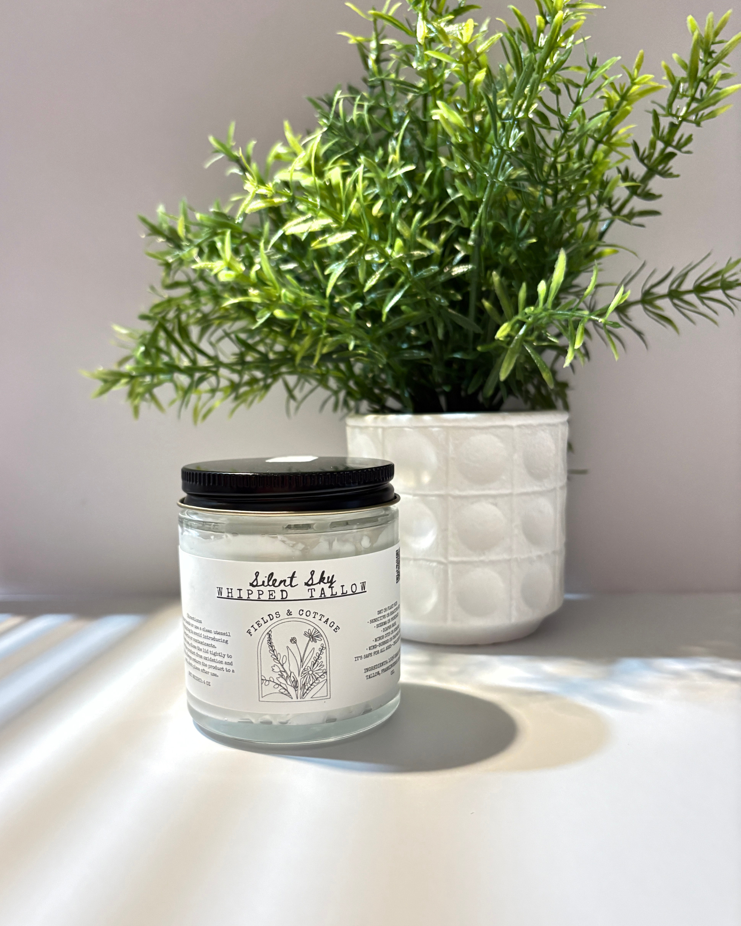 A potted green plant with thin, pointed leaves, next to a glass jar with a white label and black lid, on a white surface with sunlight casting shadows.
