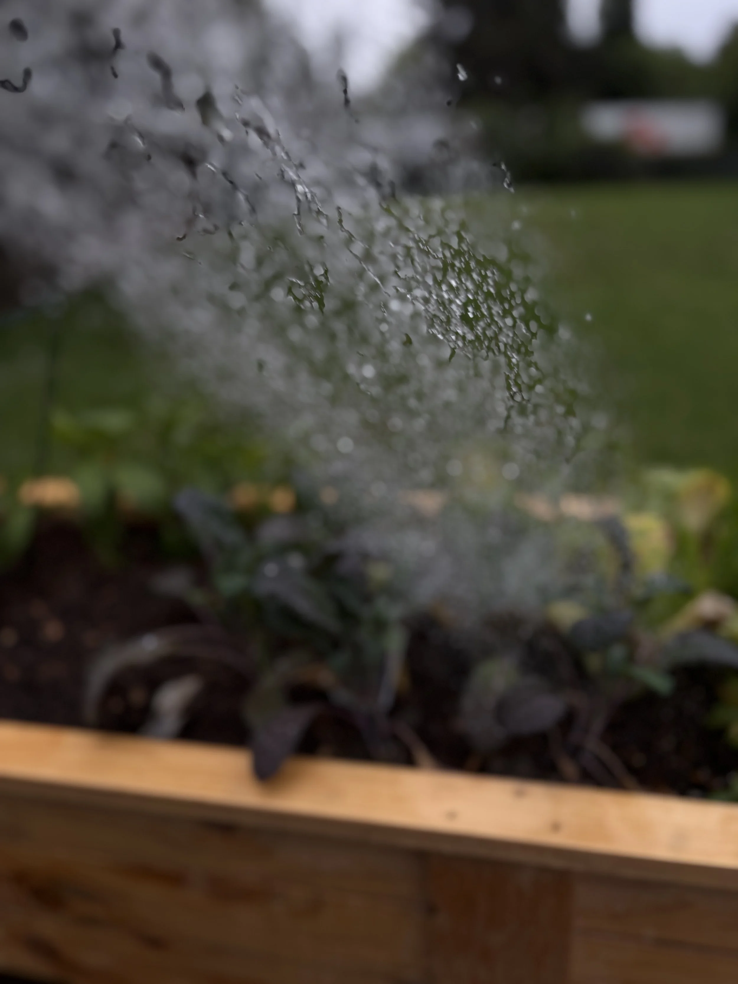 Close-up of water droplets on a surface with grass and soil visible in the background.