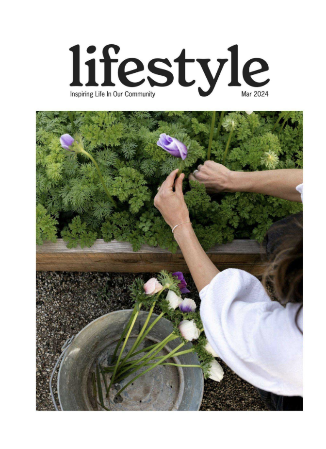 Screenshot 2024-12-17 at 12.04.11 PM.png