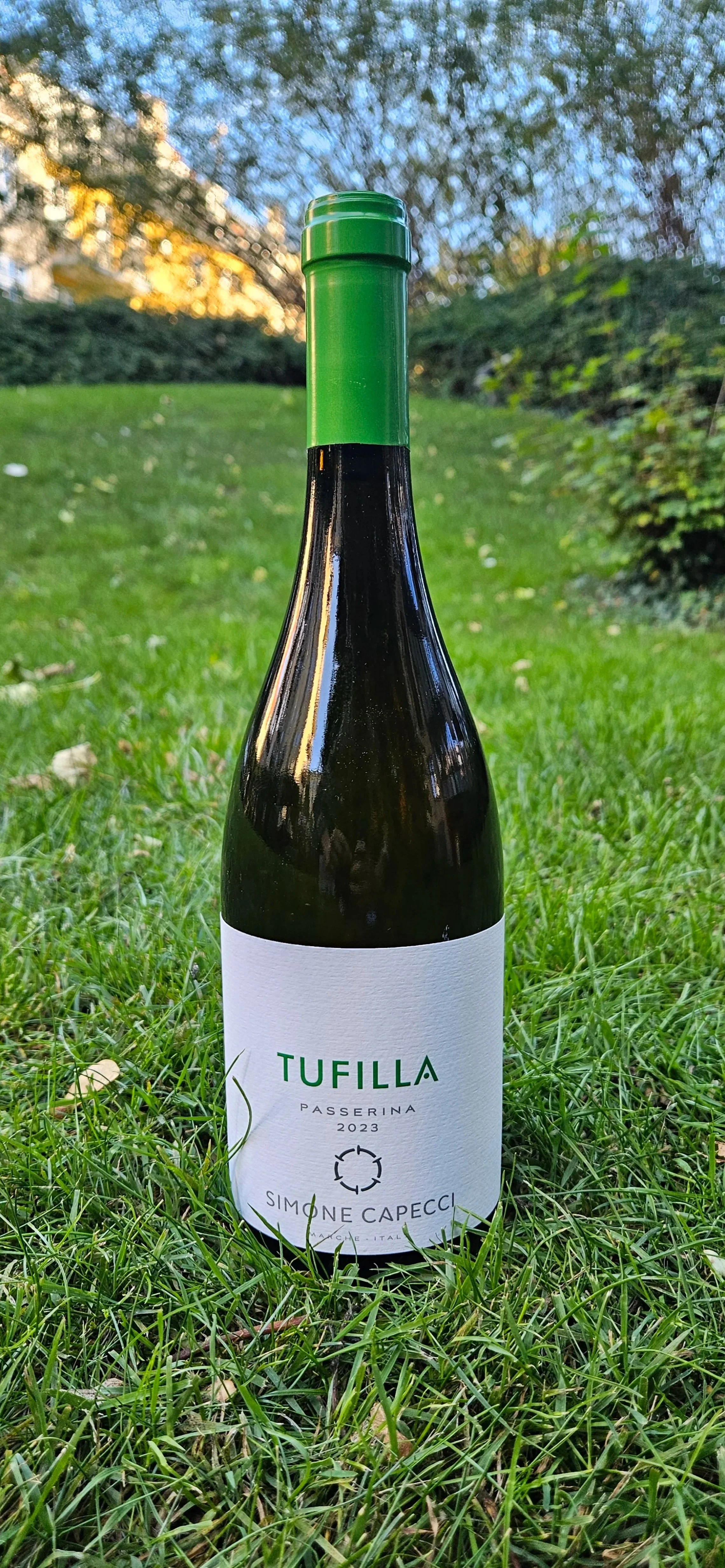 tufillia.jpg
