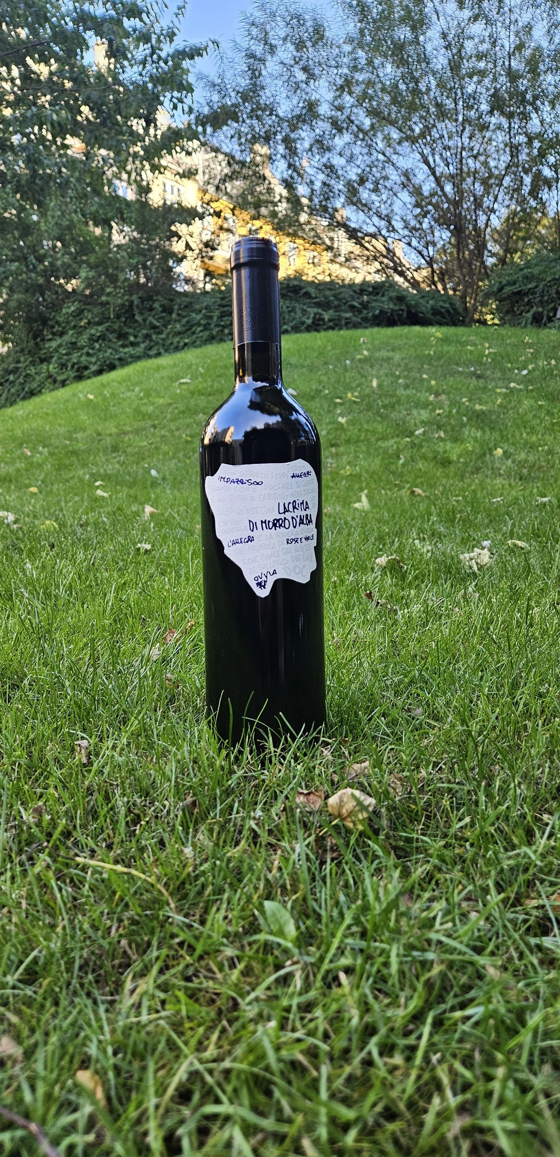 Lacrima di Morro D'Alba DOC - Cantina dei Colli Ripani