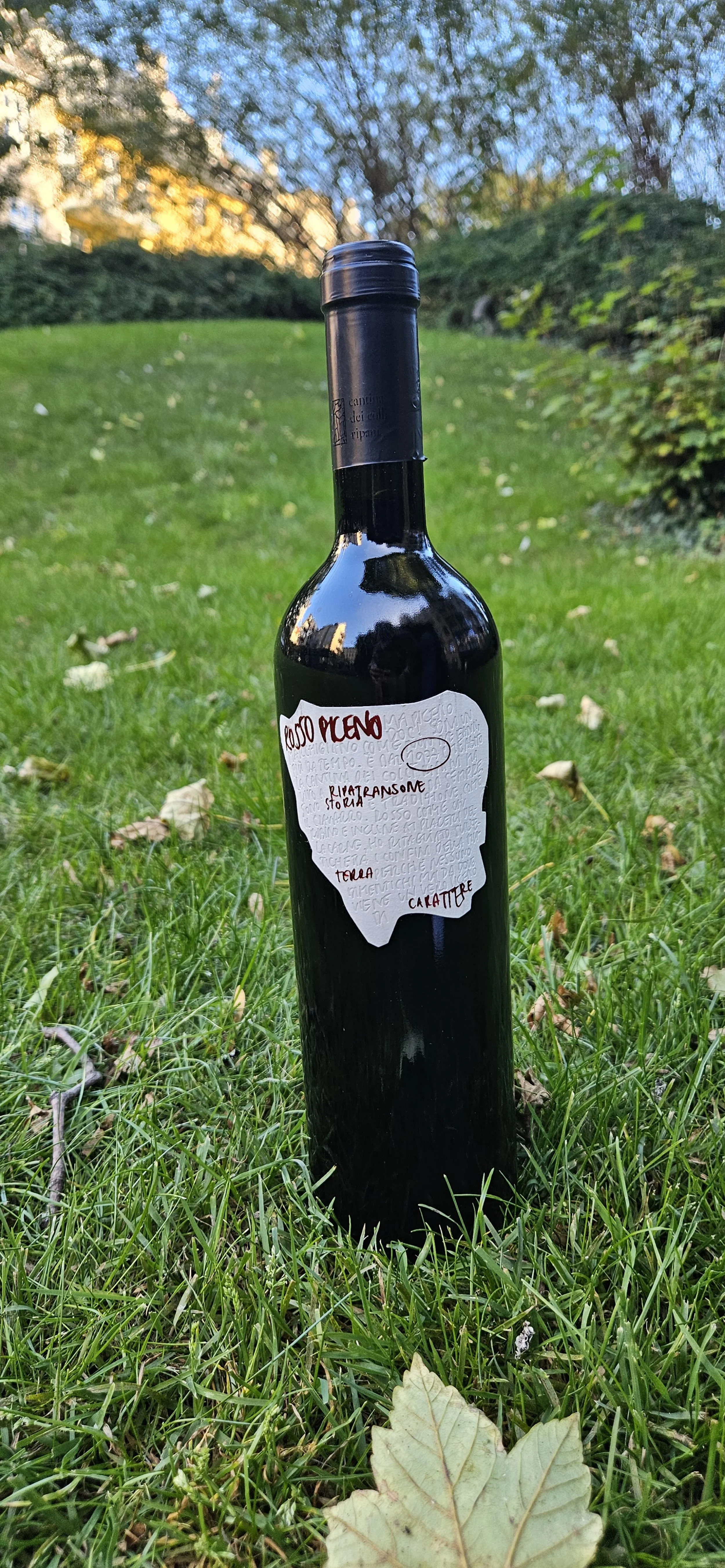 rosso piceno colli ripani (1).jpg