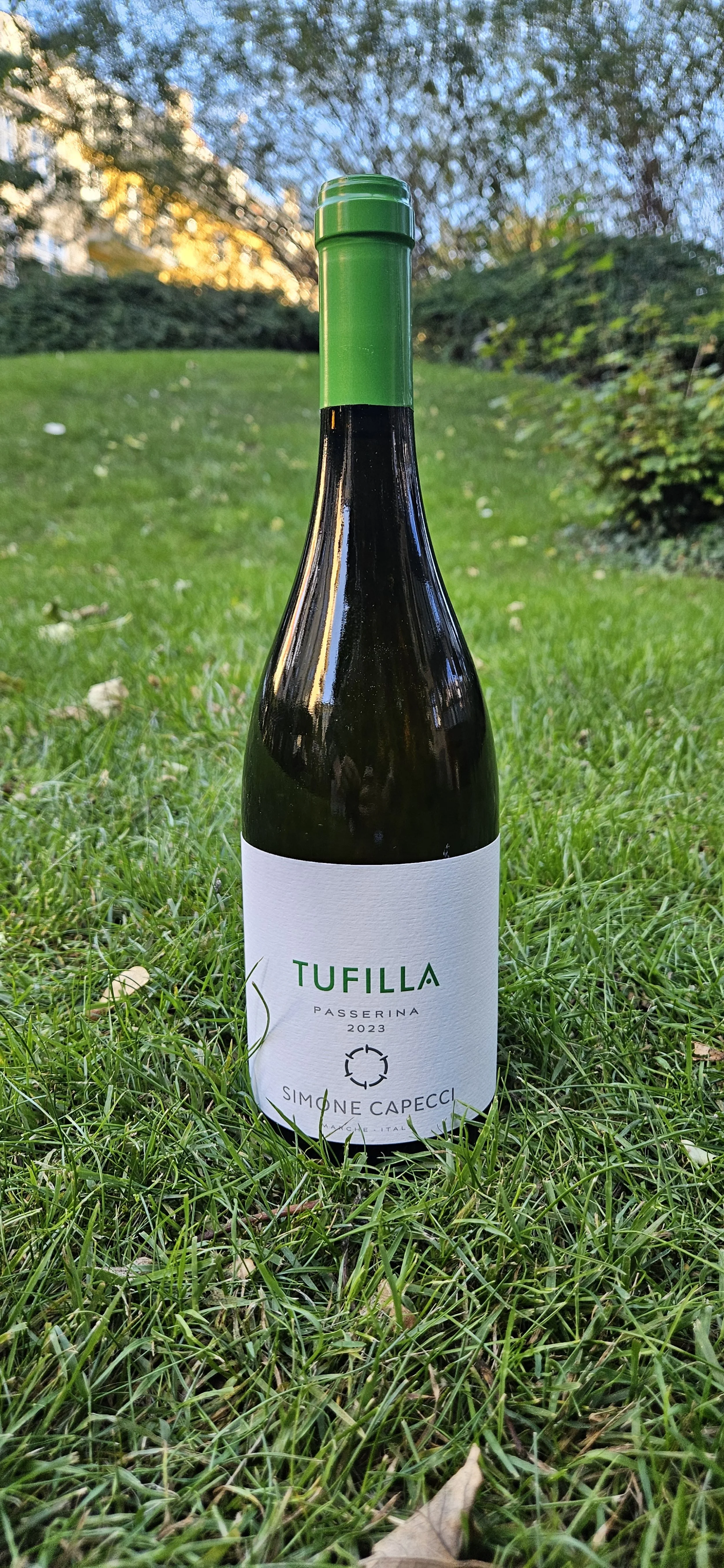 Tufillia - Marche Passerina IGP Organic - Simone Capecci