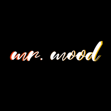 Logo Mr Mood Jaime Anca Ankite