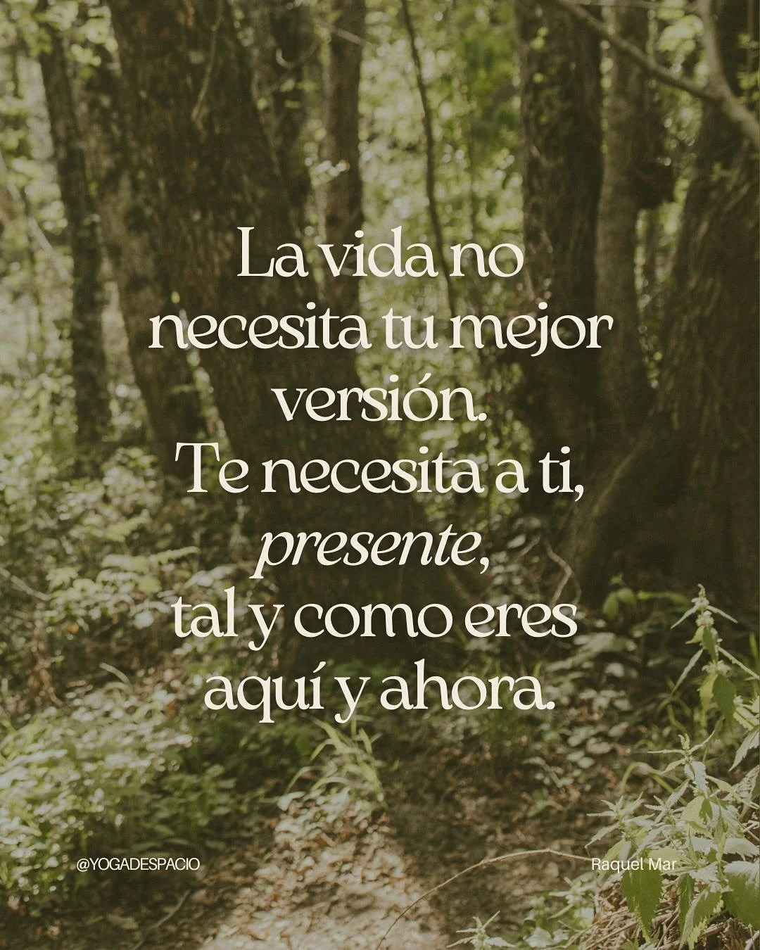 Una de mis ilusiones m&aacute;s grandes (y que sigue viva en este nuevo a&ntilde;o) es poder seguir honrando aquello que tanto amo con un profundo respeto. 

Sin caer en la falsa urgencia de necesidades que no son reales ni de alcanzar ning&uacute;n 