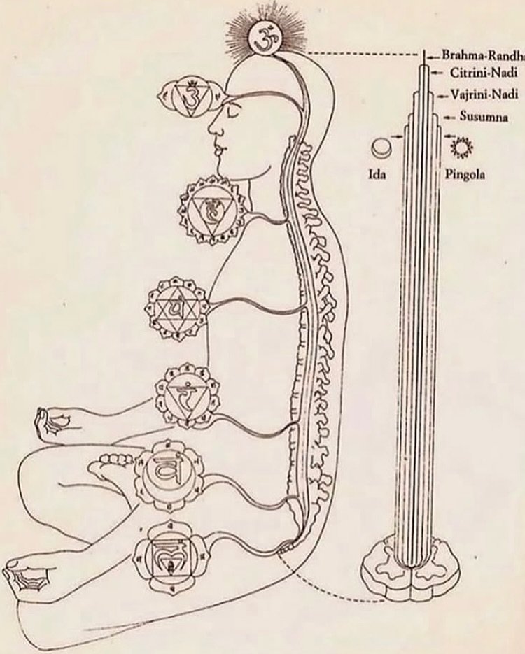 Chakras, un viaje al centro de tu ser 🌀
Curso online TE&Oacute;RICO de 7 semanas

Este curso es una de mis grandes pasiones: profundizar en el cuerpo energ&eacute;tico y la anatom&iacute;a sutil. 

Lo imparto desde hace 6 a&ntilde;os y es el resulta