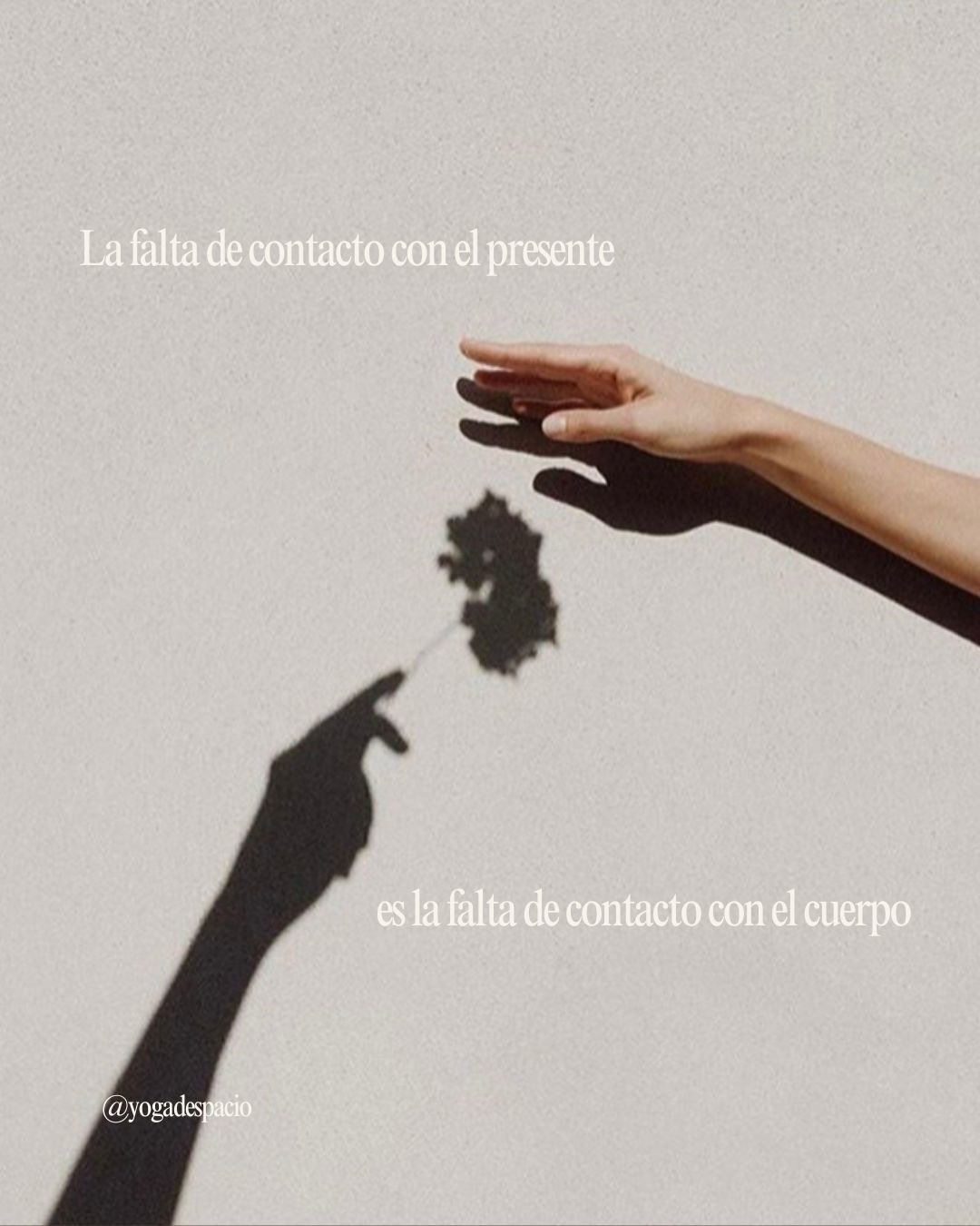 En una semana nos juntamos para adentrarnos al cuerpo. 

Afinar su escucha. 

Darle voz y espacio. 

Sentirlo desde dentro. 

Y dejarnos mover por todos sus paisajes. 

El viernes 20 de marzo, recibe esta primavera desde la presencia sentida de tu cu