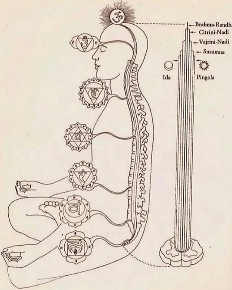 Chakras, un viaje al centro de tu ser 🌀
Curso online TE&Oacute;RICO de 7 semanas

Este curso es una de mis grandes pasiones: profundizar en el cuerpo energ&eacute;tico y la anatom&iacute;a sutil. 

Lo imparto desde hace 6 a&ntilde;os y es el resulta