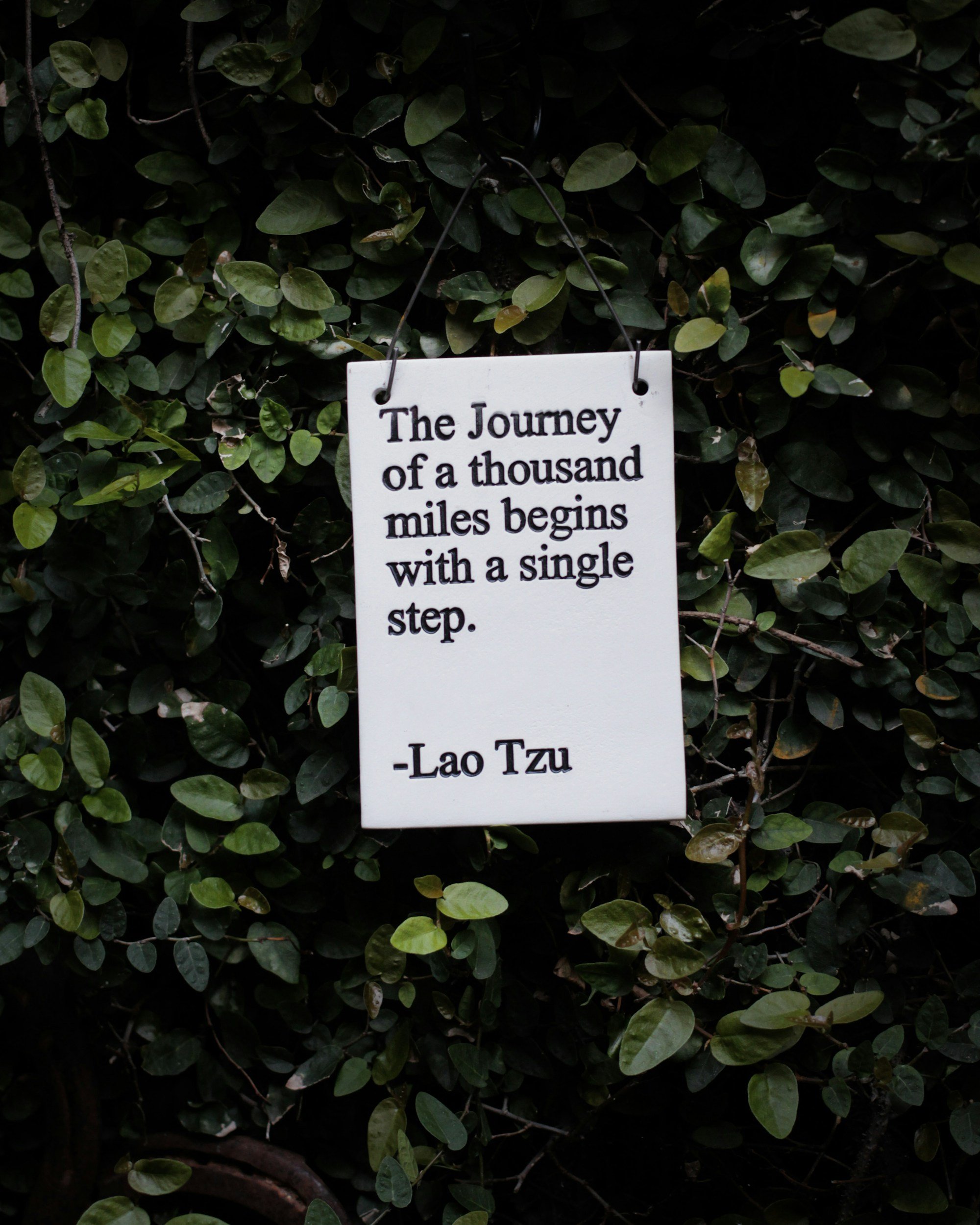 A white sign hanging on a bush with green leaves, displaying a quote by Lao Tzu about a journey beginning with a single step.
