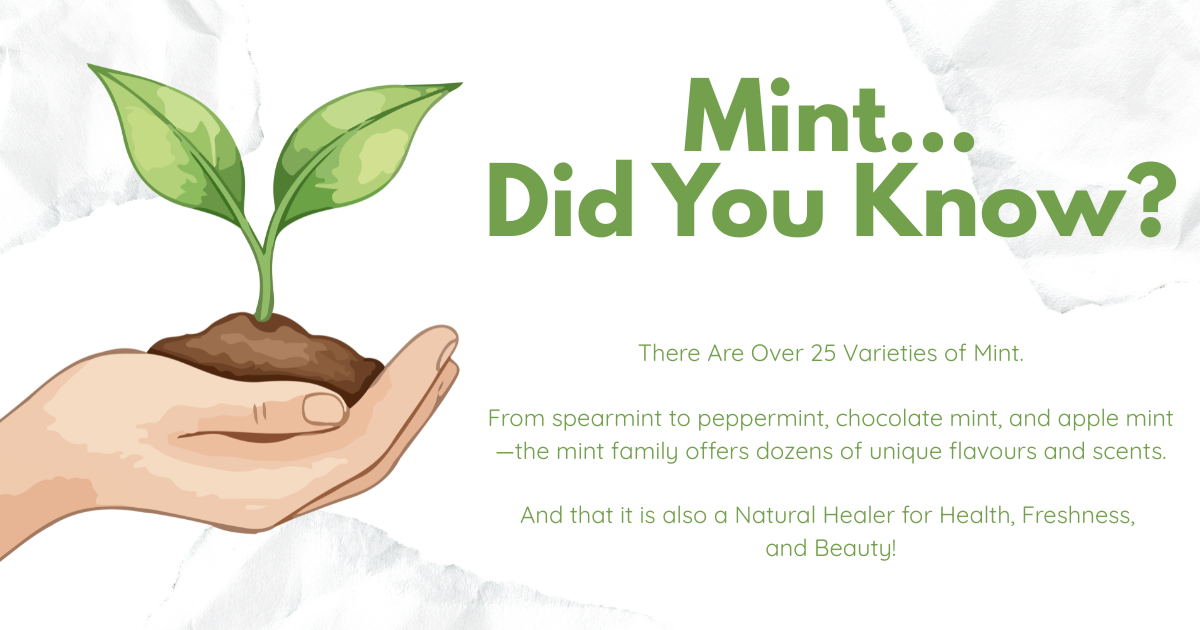 Mint Did you know .png
