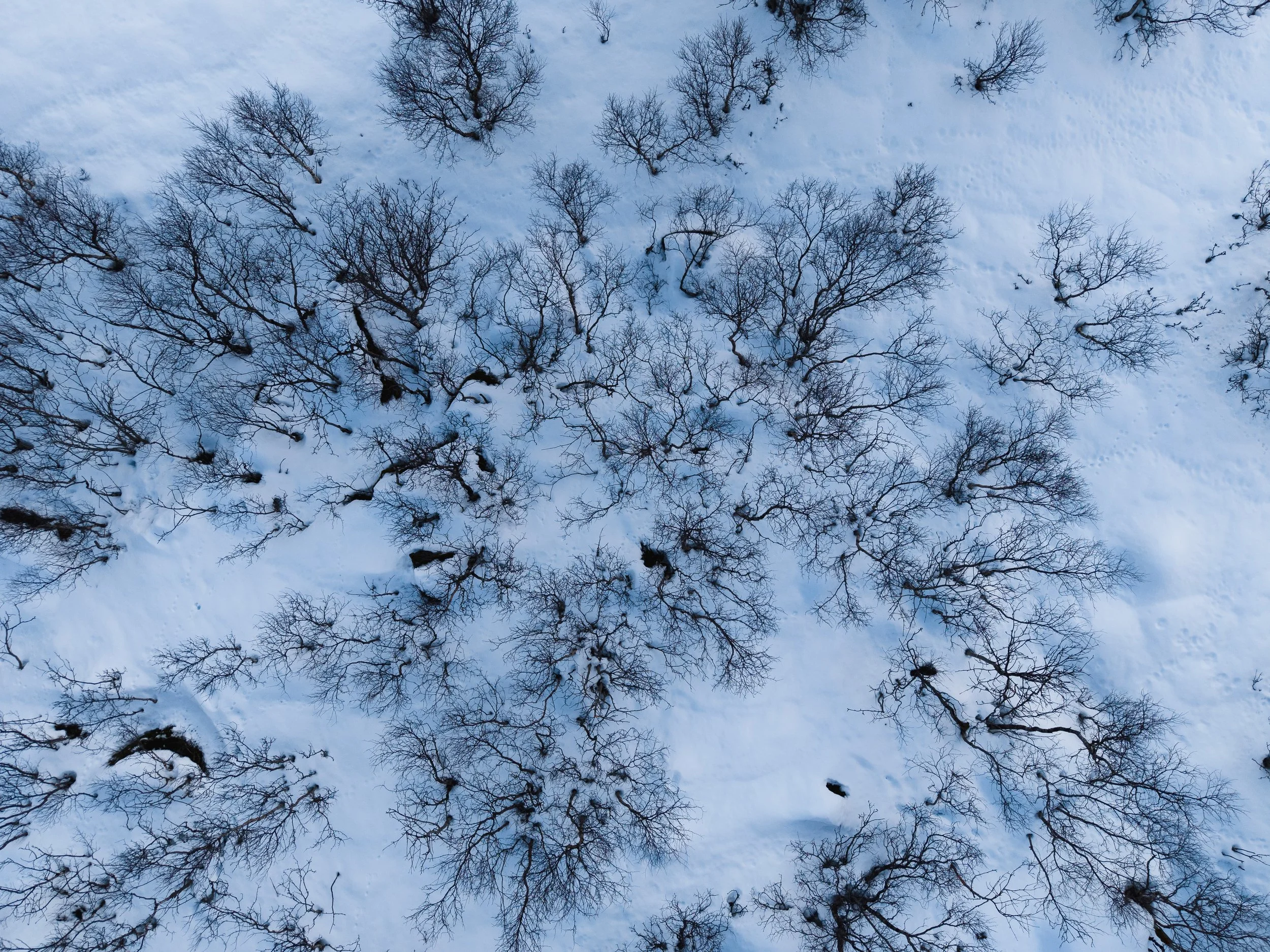 DJI_20260302140359_0670_D-HDR.jpg