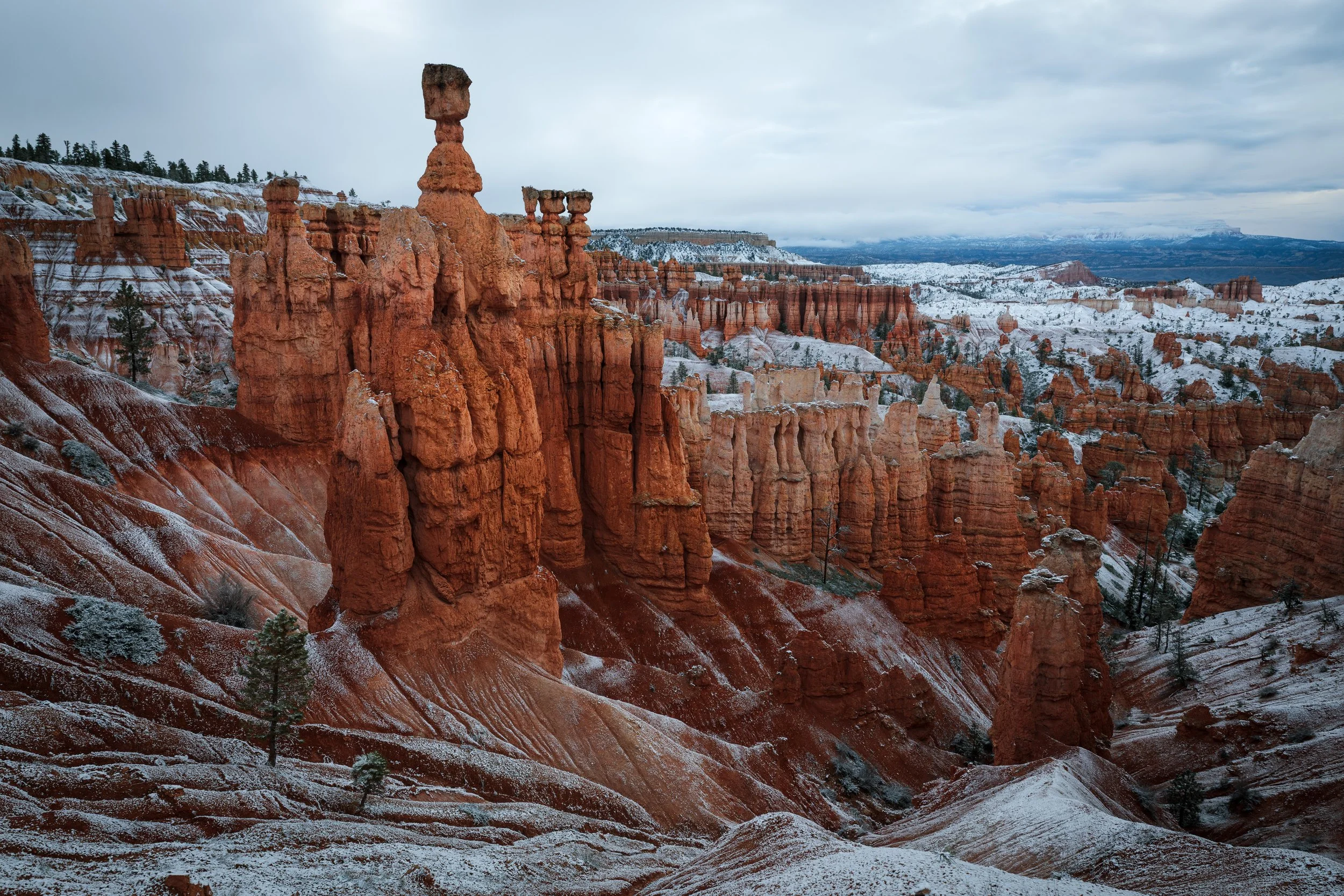 Cold and snowy sunrise in Bryce Canyon / USA