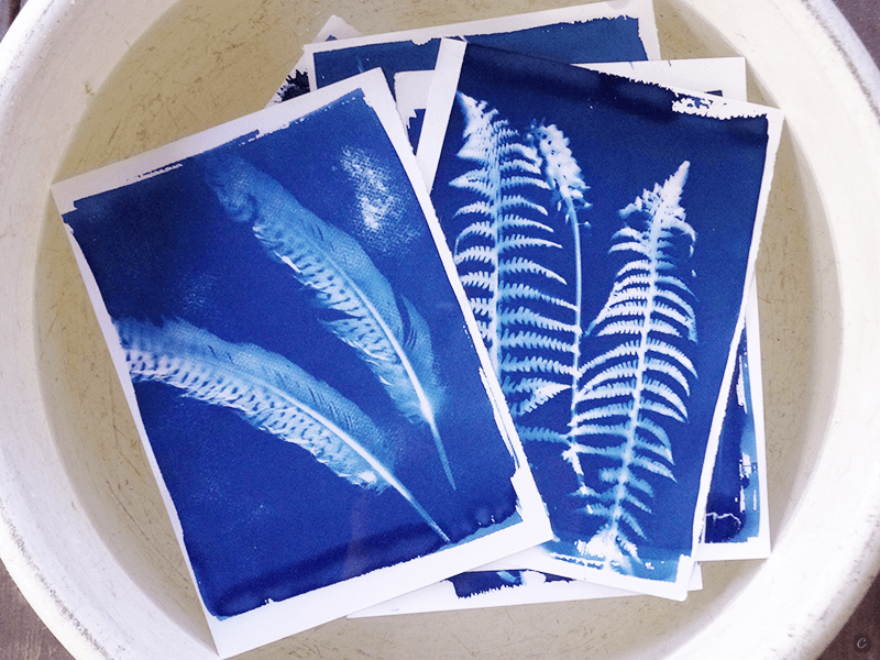 Mandale, bransoletki przyjaźni i cyjanotypia