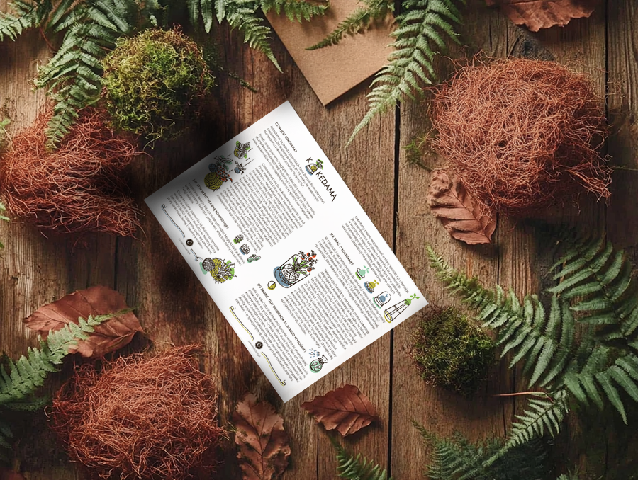 RESET - warsztaty wellbeingowe dla firm - caramel