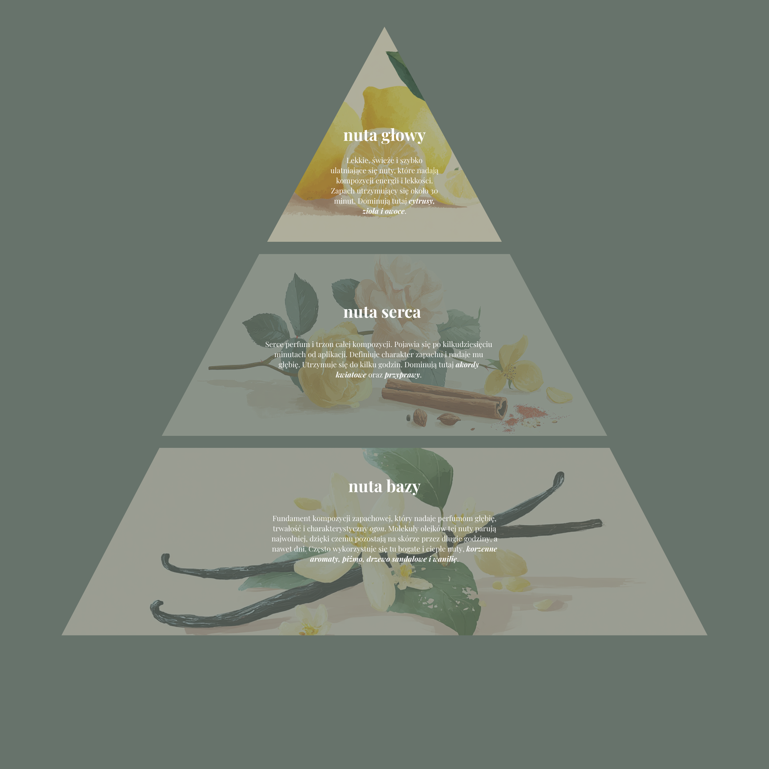 nuty zapachowe perfum naturalnych caramel