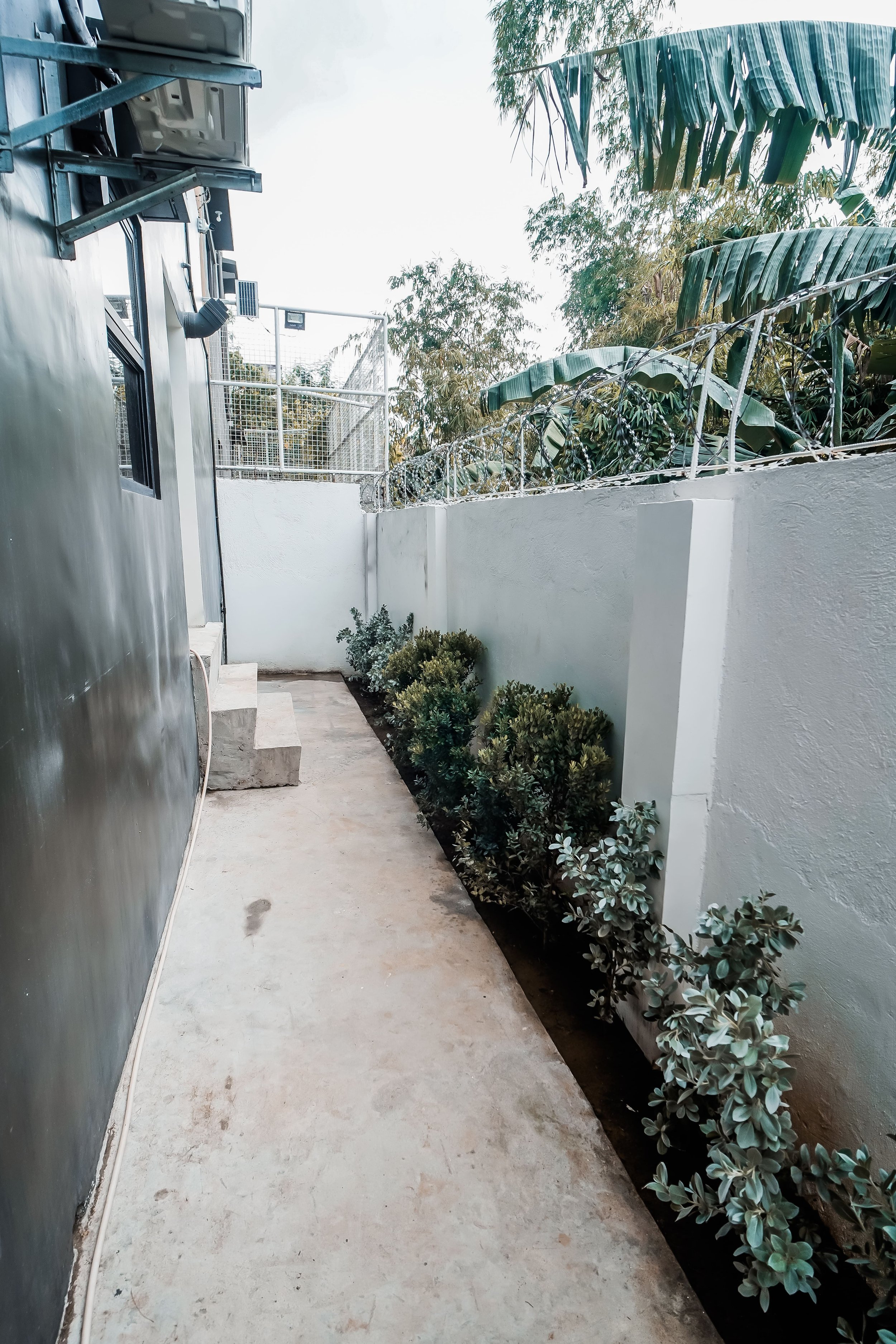 A narrow outdoor passageway next to a building with a concrete path, small plants lining the right side, white walls, and barbed wire atop the wall. Banana trees and other greenery are visible in the background, and there are metal steps leading upwa
