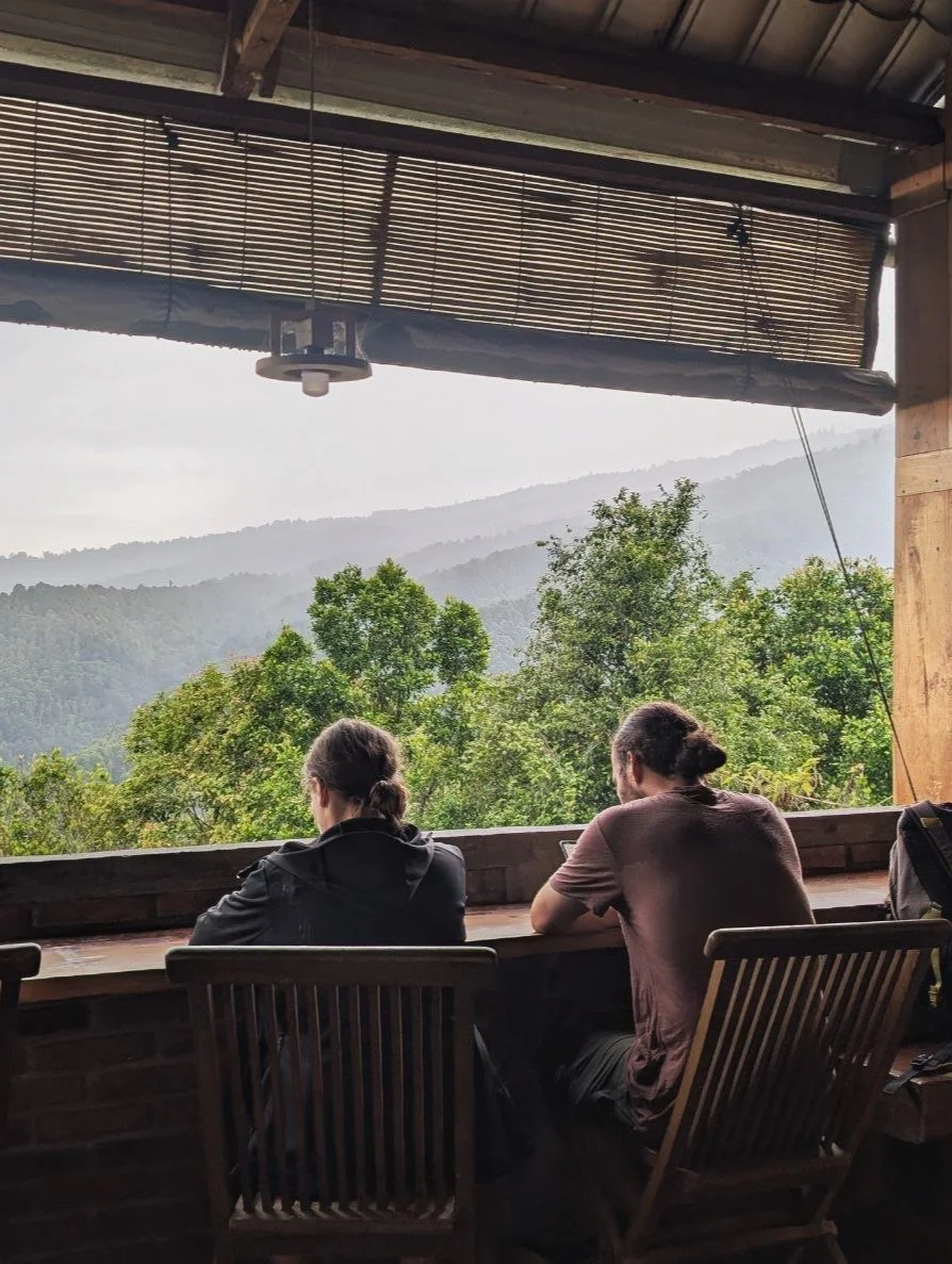 Discover North Bali's Hidden Paradise: Your Complete Guide to Lovina and Munduk (Part 2)