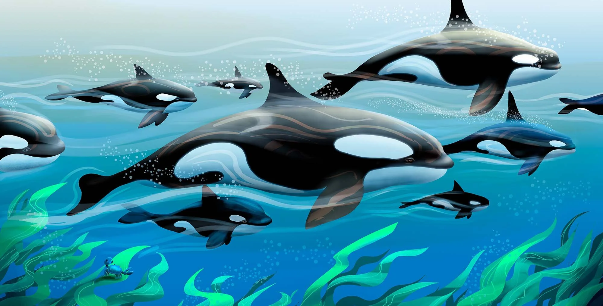 Under the Sea-16 & 17-orca spread MK6-lighter.jpg