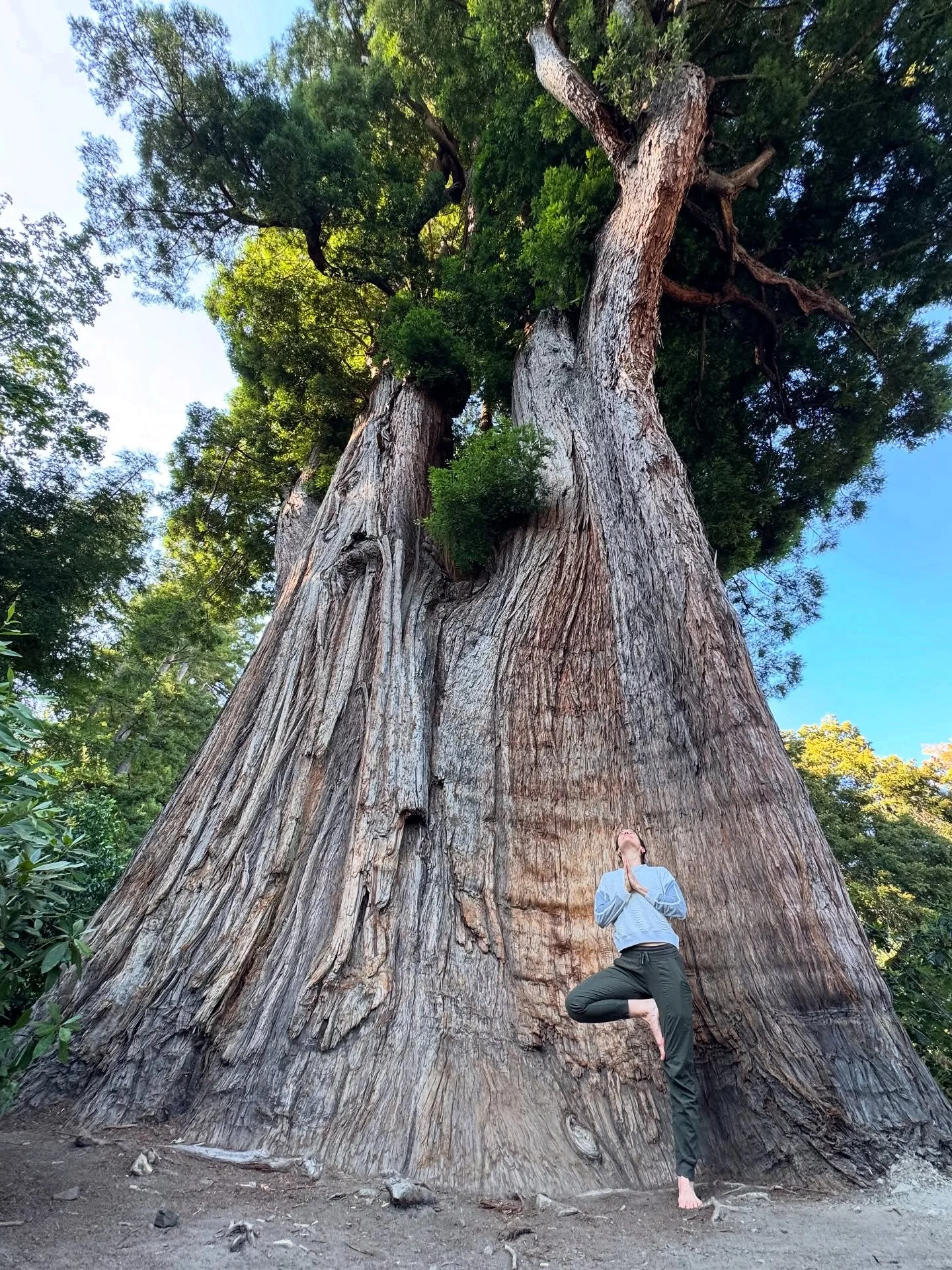 Un verano en la naturaleza, leo season on point.