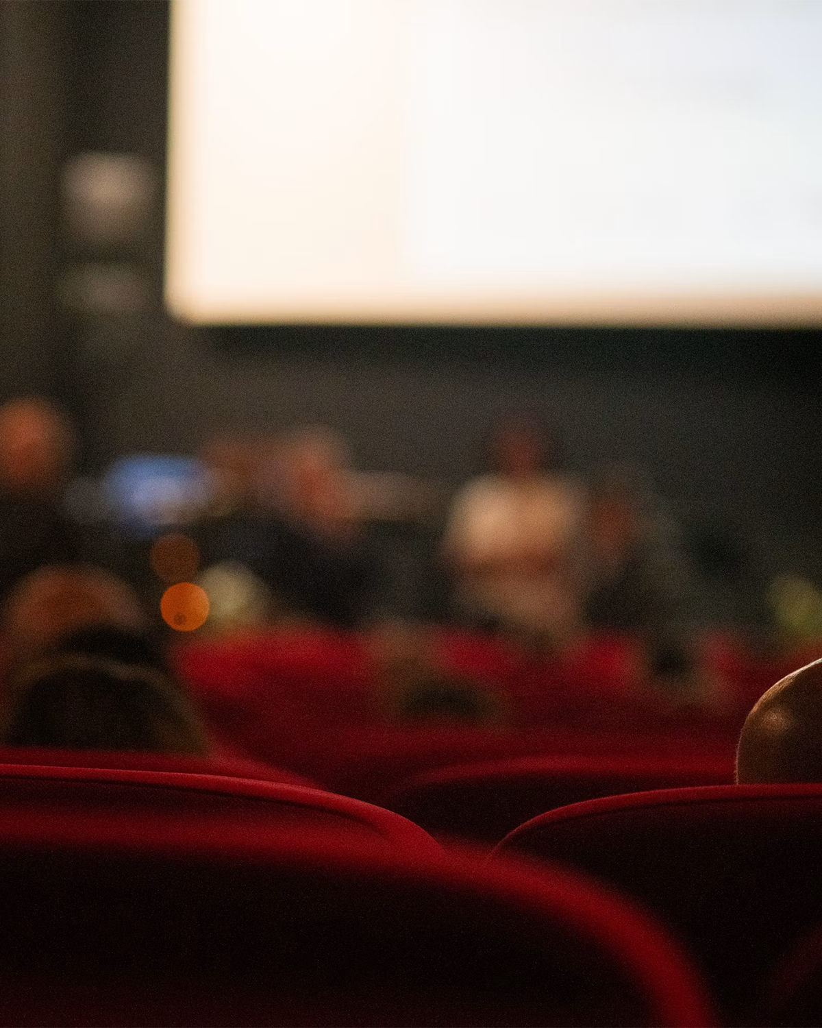 Estate record al box office, ma il cinema indipendente americano scommette su Cannes