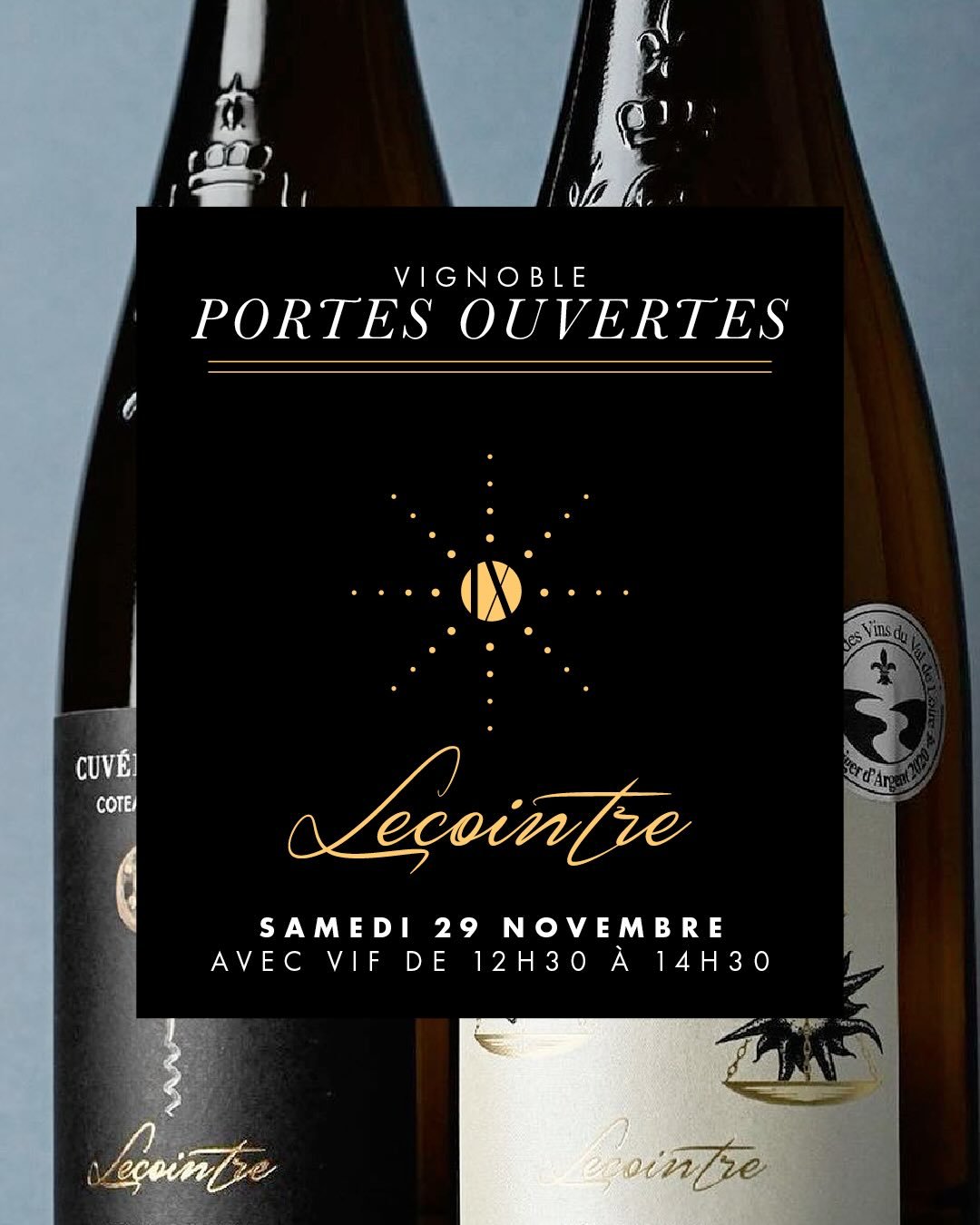 Retrouvez-nous samedi 29 Novembre d&egrave;s 12h &agrave; Champ-sur-Layon pour les portes ouvertes du Ch&acirc;teau de la Tomaze. 

Au programme : d&eacute;gustation de vins, pizzas et exposition de peinture et de lavis d&rsquo;entre de Chine.

On vo