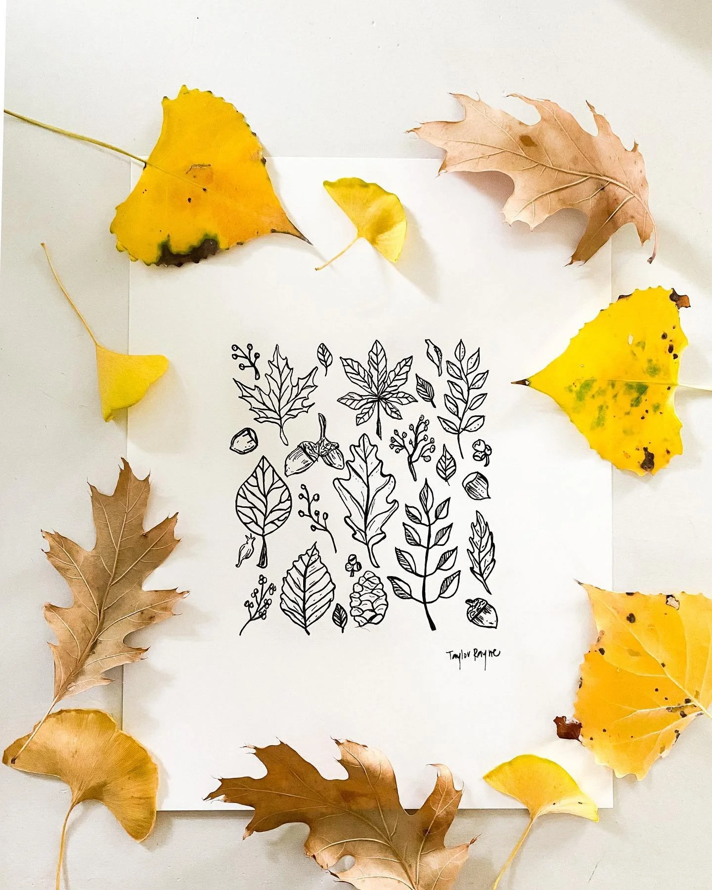 fall vibes 🍁 t-minus 2 days until @hutchfestomaha 🙌