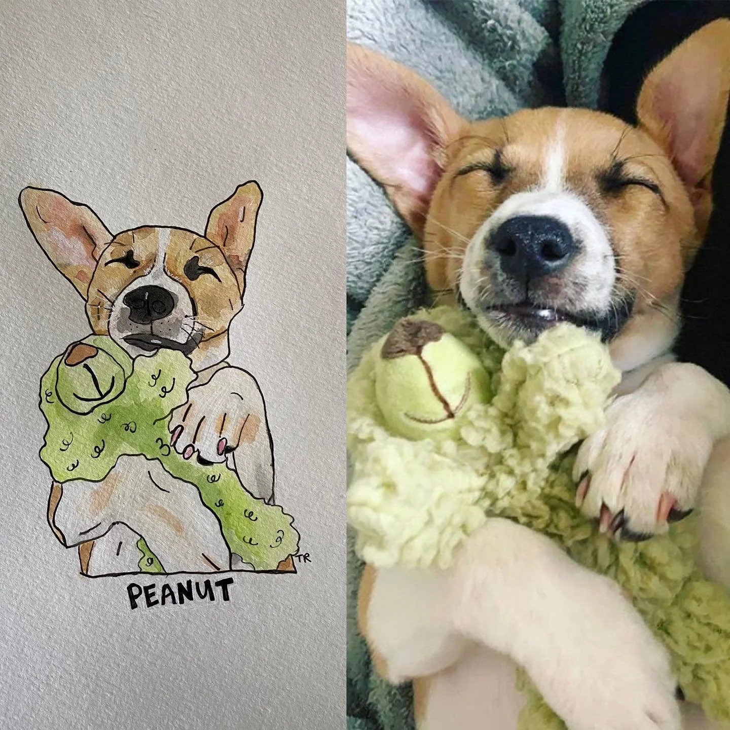 Meet Peanut, 19/10 would not make a peep so as not to disturb this lil angel&rsquo;s stuffed animal slumber. 

I have a few more openings for pet portraits for September! Let me paint your pupper 🐶