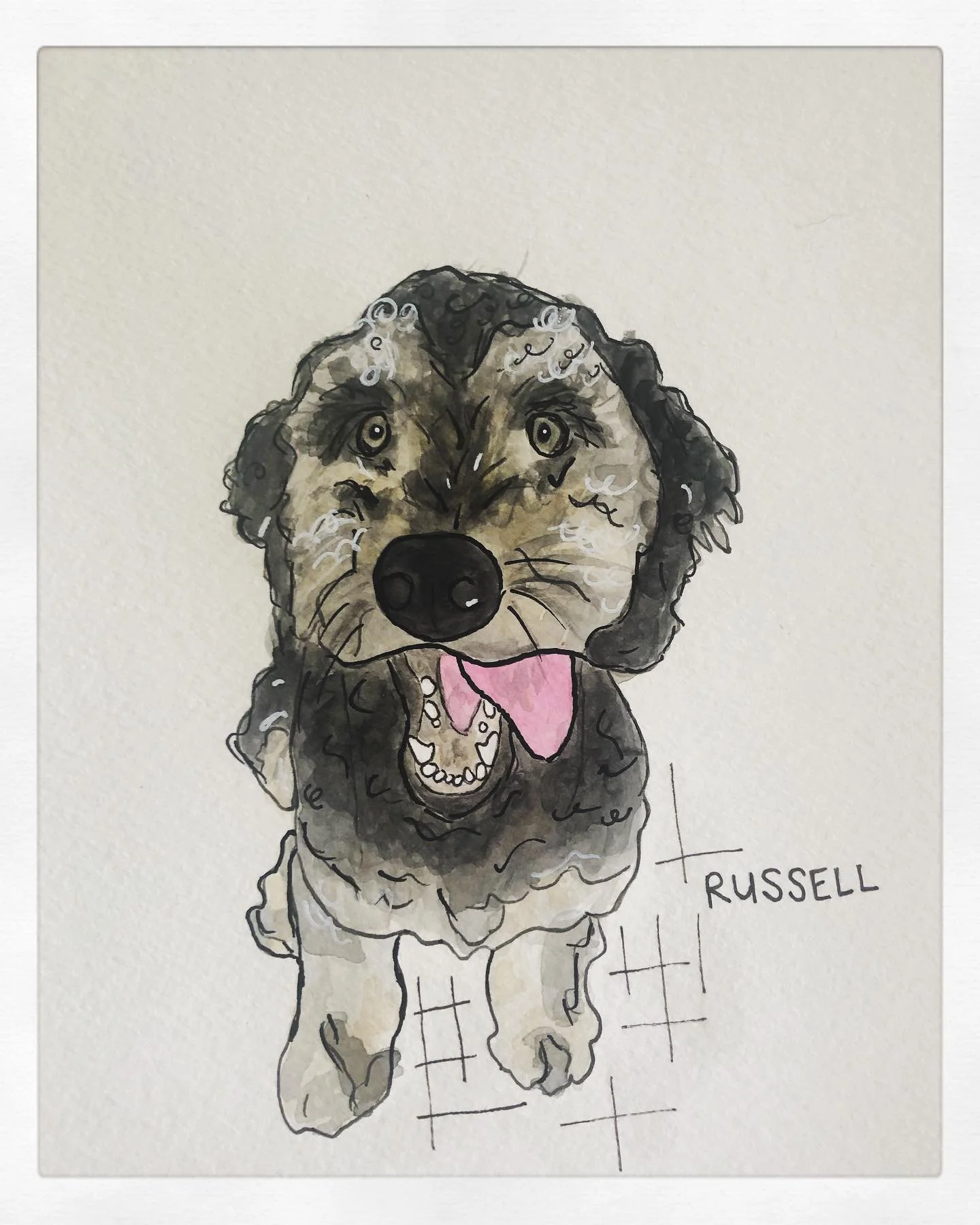 Meet Russell. This poodle boy gets a 12/10 for curls and cuteness 😍