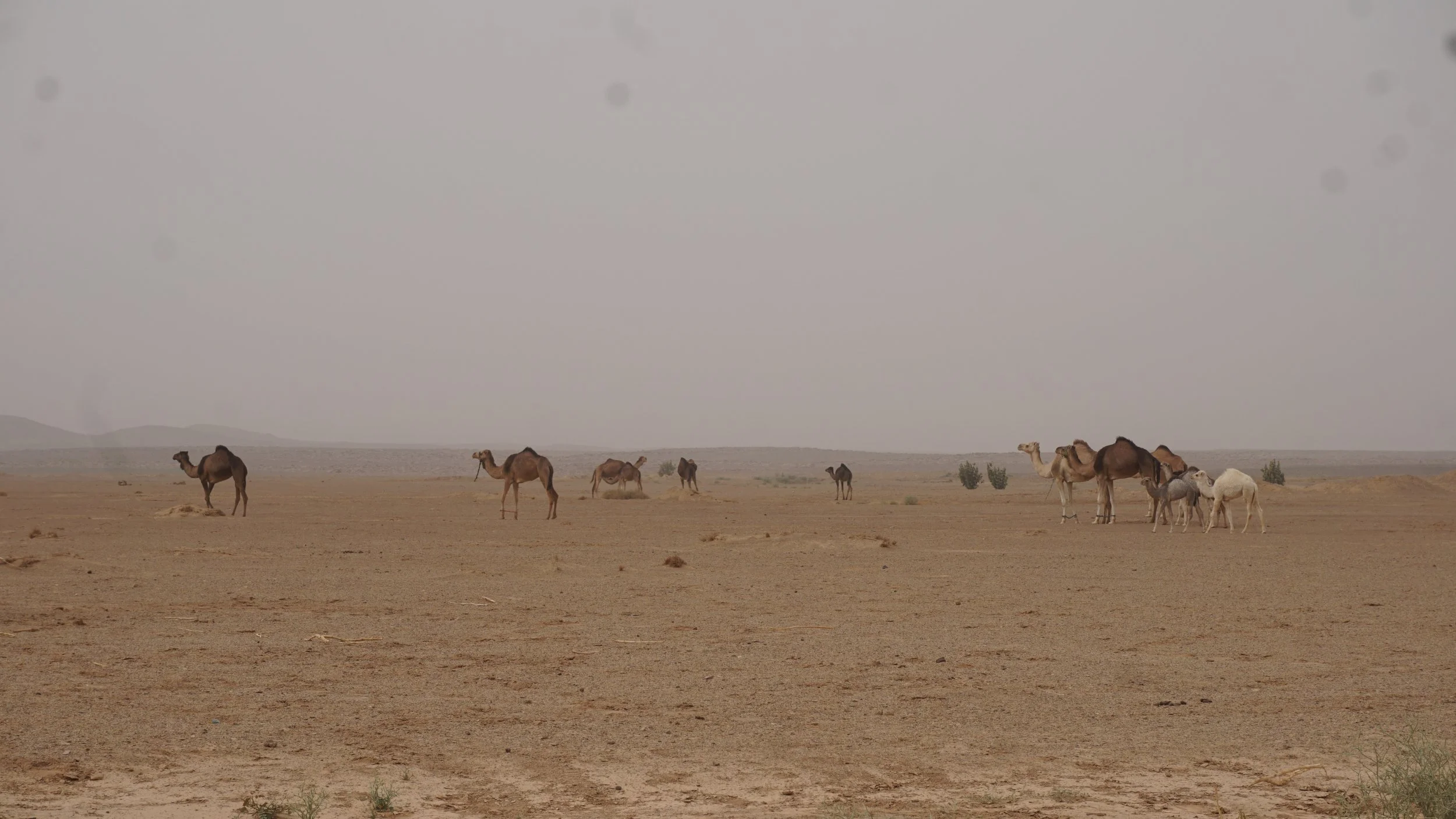DSC07895.JPG