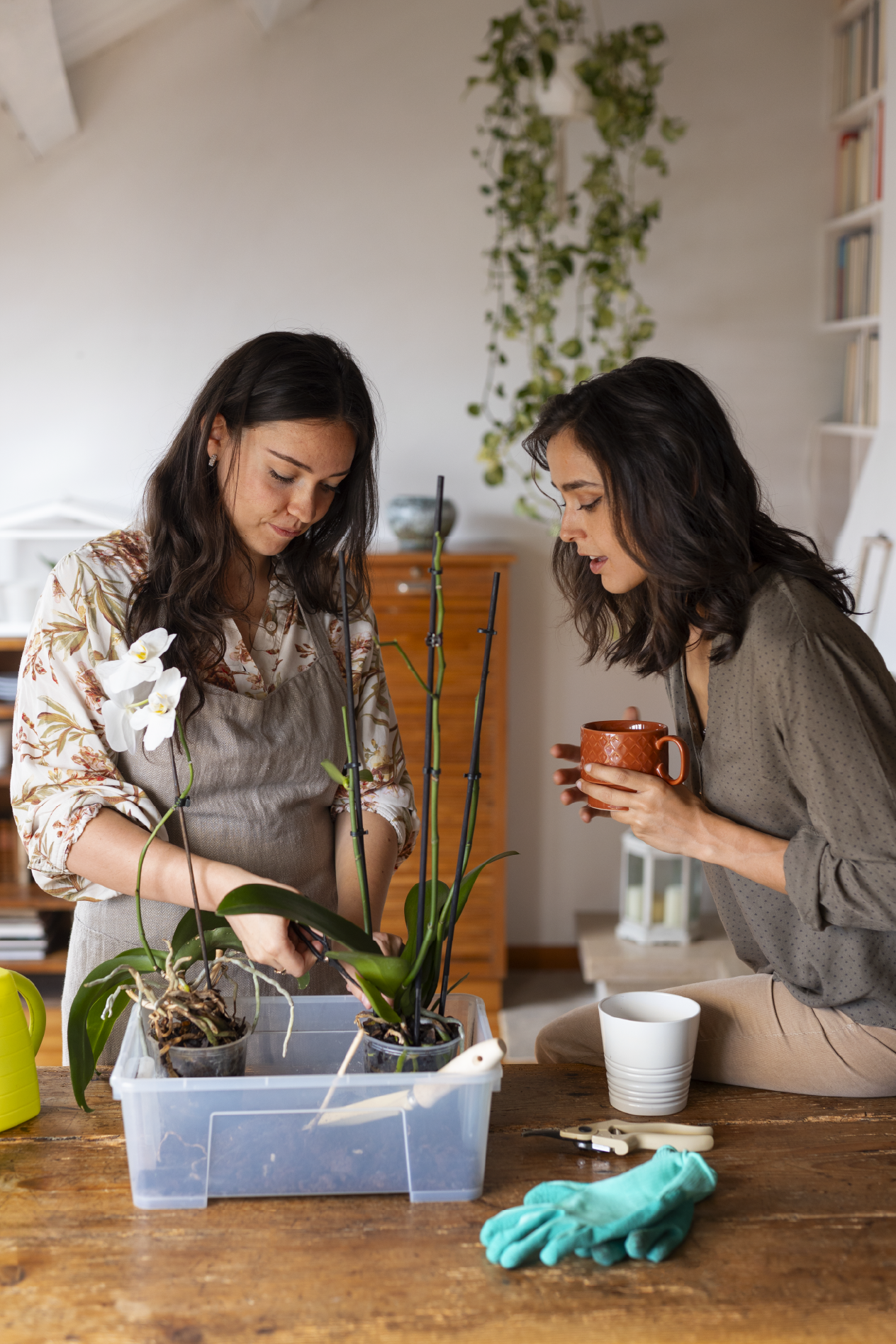 Two women are caring for orchid plants on a wooden table in a cozy home interior. One woman is holding pruning shears, and the other is holding a mug, with gardening gloves and cups also on the table.