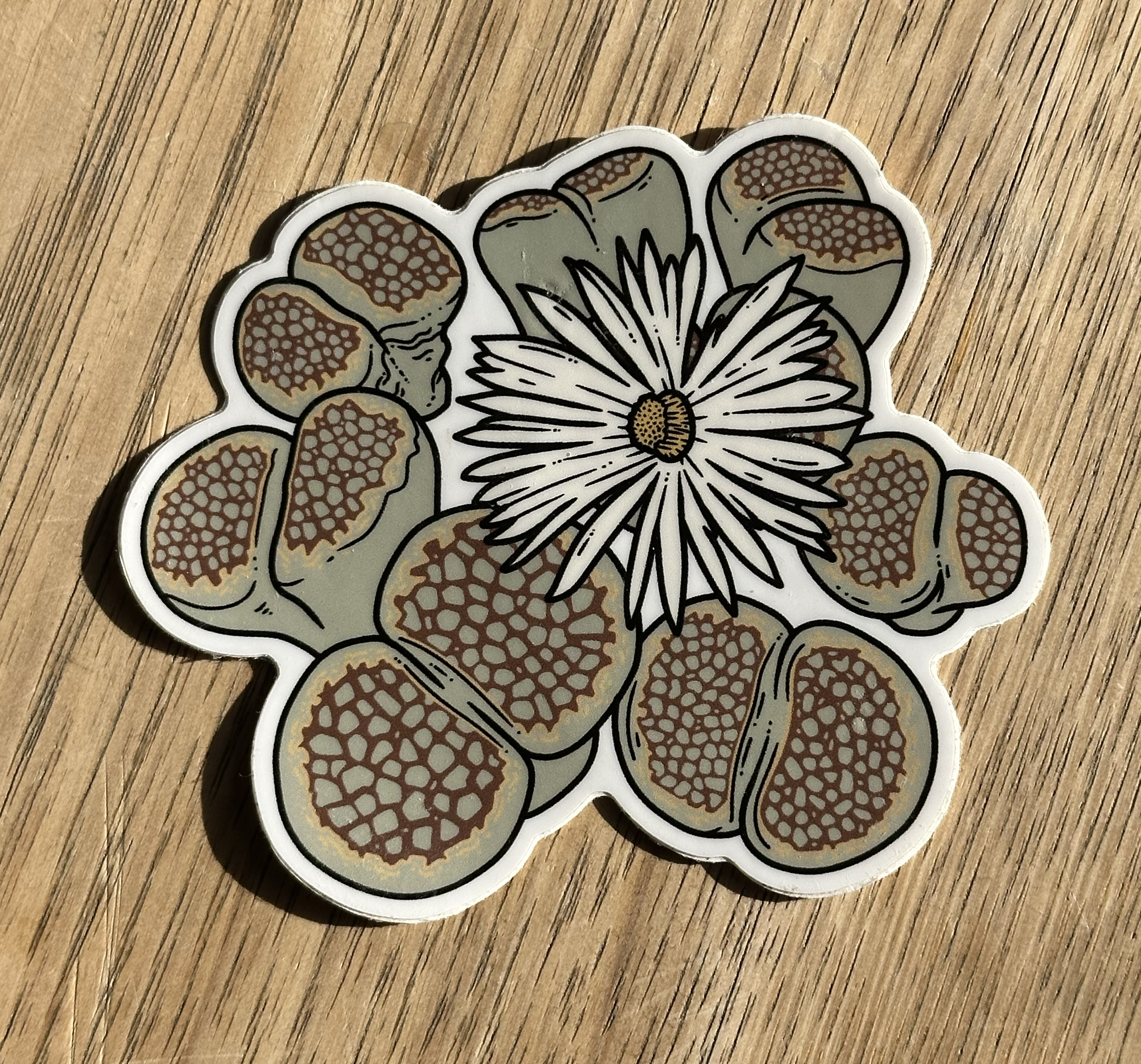 Lithops_Sticker_Photo.png