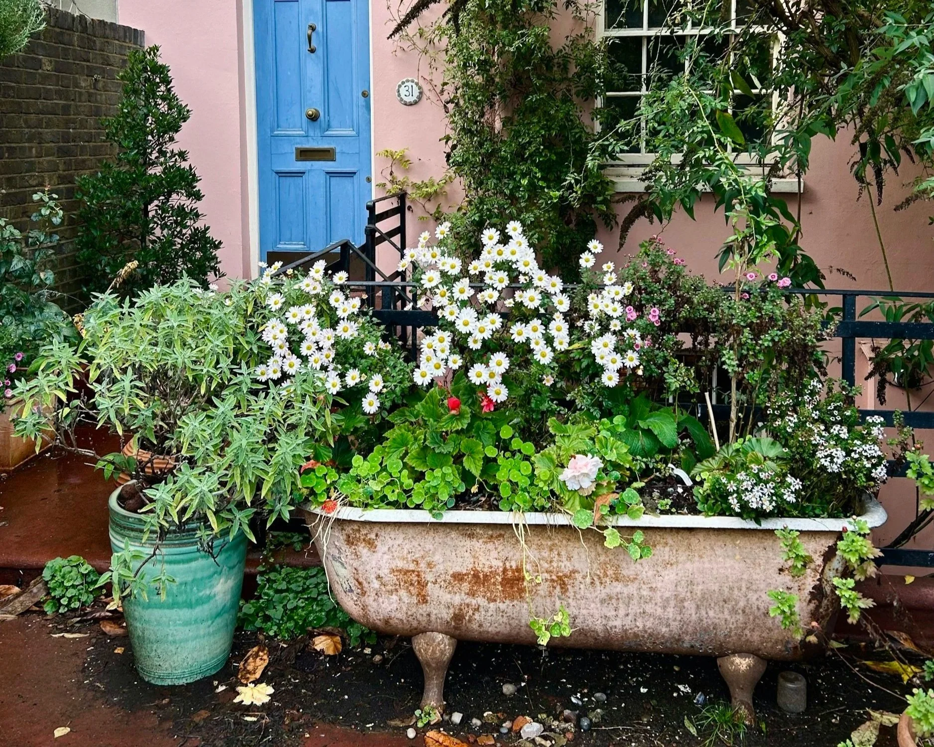 Old clawfoot bathtub repurposed as a garden planter filled with white and pink flowers, surrounded by potted plants and greenery, in front of a pink house with a blue door.