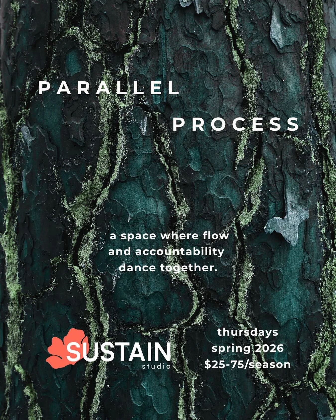 Parallel Process is a space where flow and accountability dance together.

Whether you&rsquo;re procrastinating starting a project, wanting a more steady routine, or seeking a body double for a bit, this weekly virtual space is here to support you in