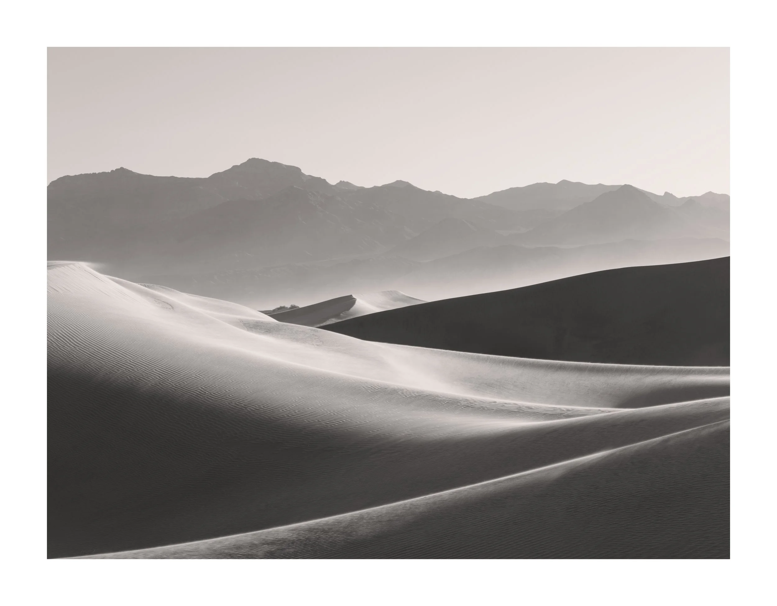 Dune&WindAtSunrise2Sepia copy.jpg