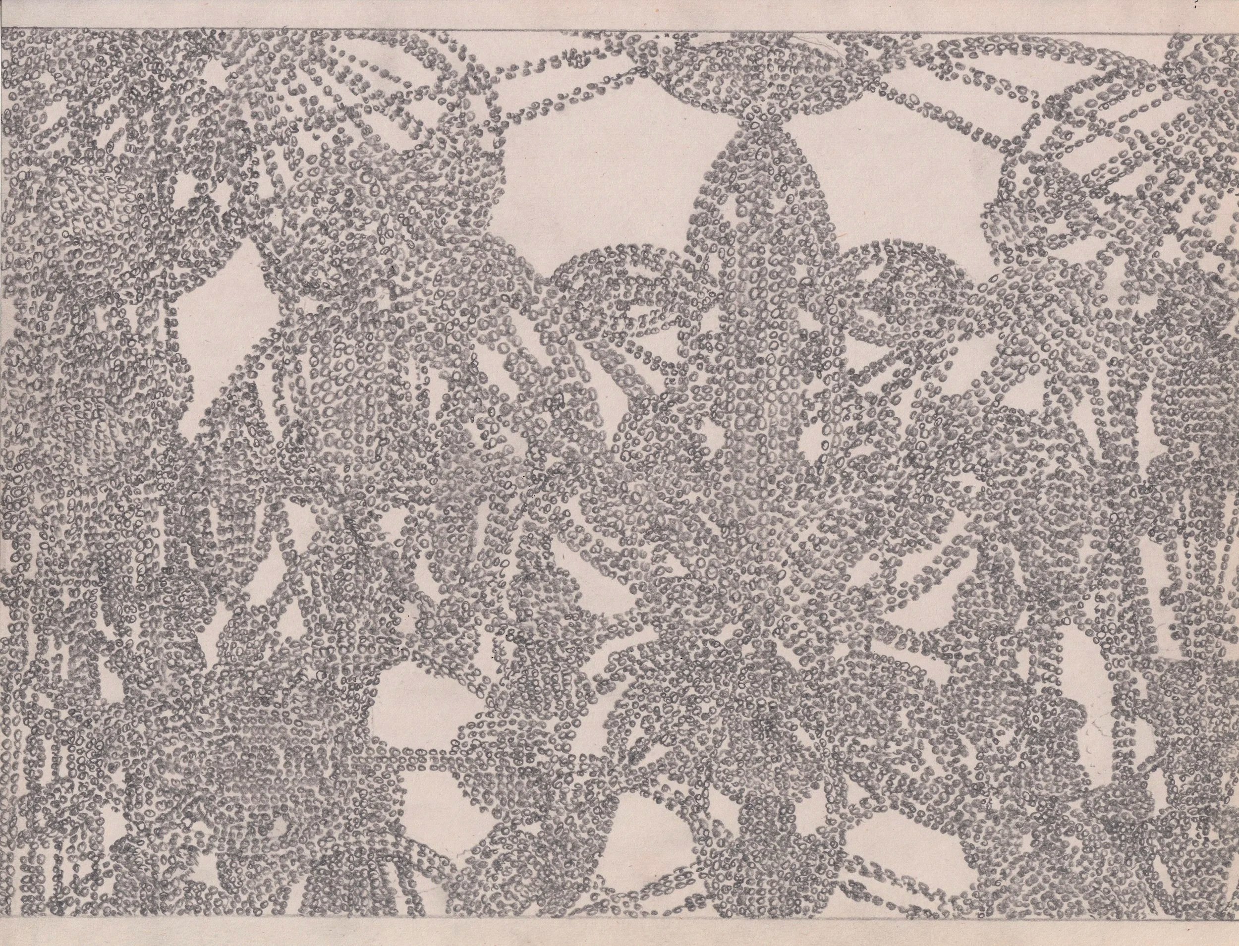 PDGR008 - Graphite on newsprint 
8.5" x 11"