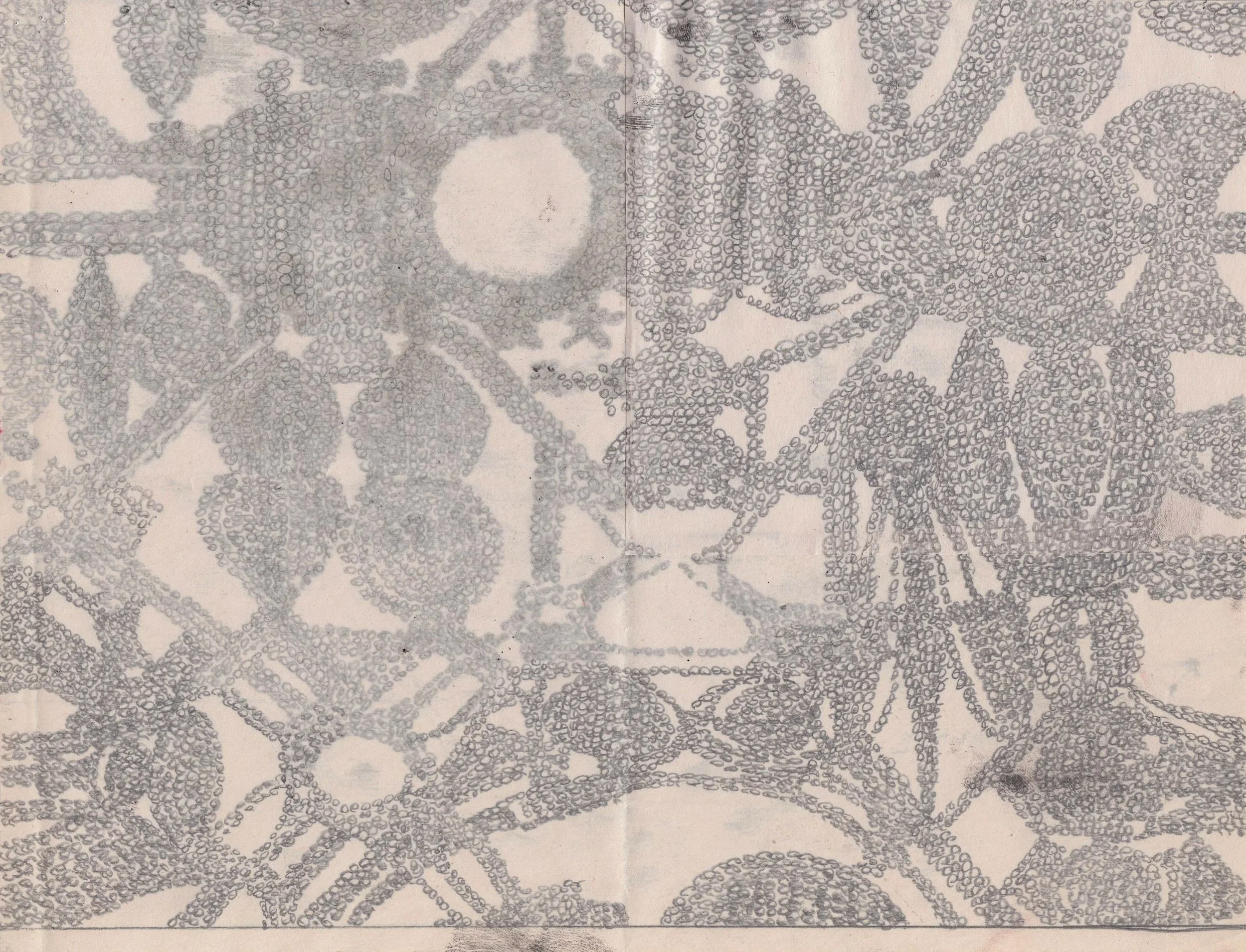 PDGR003 - Graphite on newsprint 8.5" x 11"