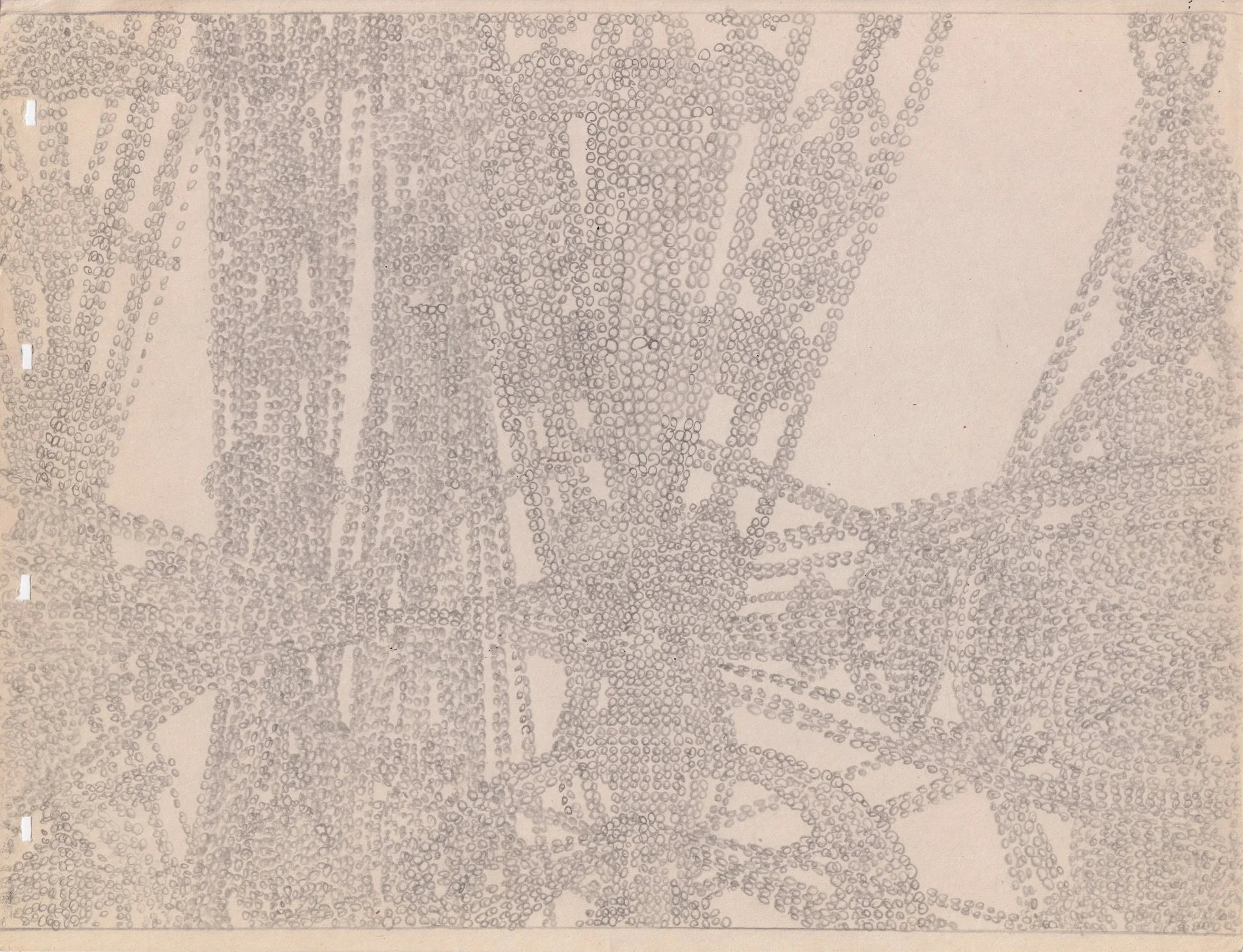 PDGR009 - Graphite on newsprint 8.5" x 11"