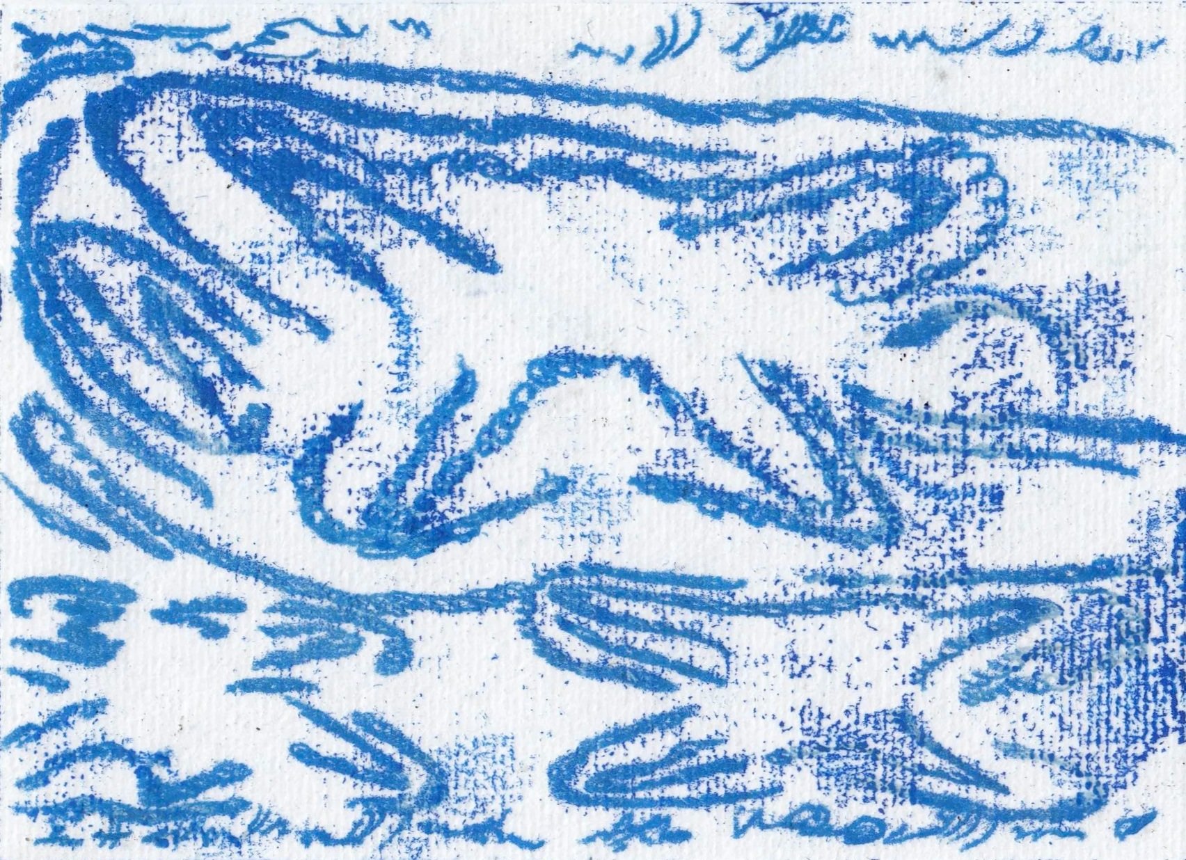 MTBLU002 - Monotype on washi paper
3.3” x 4.5”