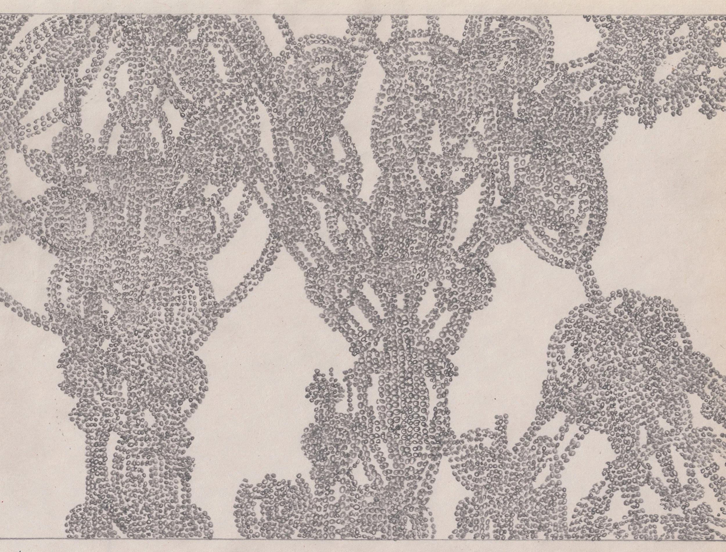 PDGR007 - Graphite on newsprint 8.5" x 11"
