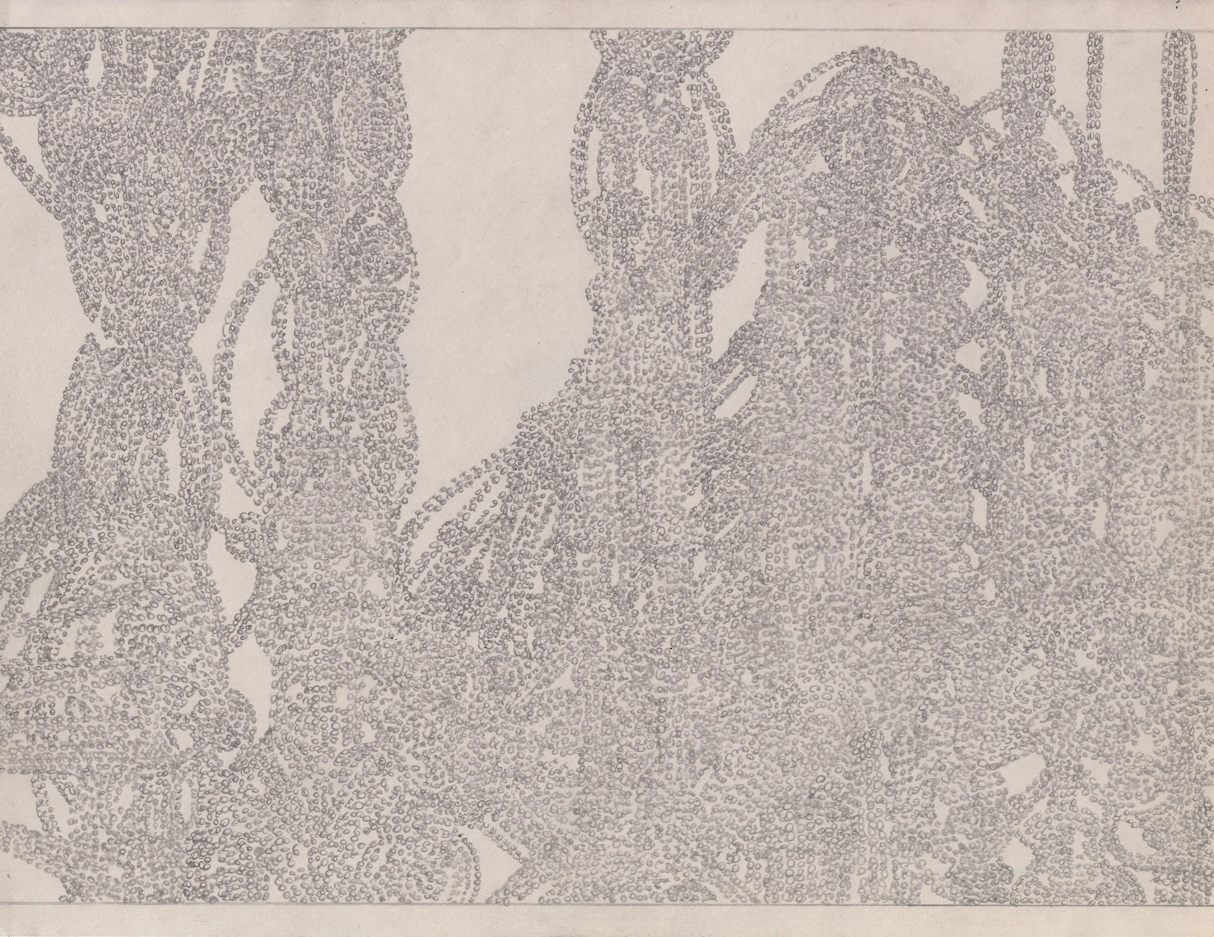 PDGR006 - Graphite on newsprint 8.5" x 11"