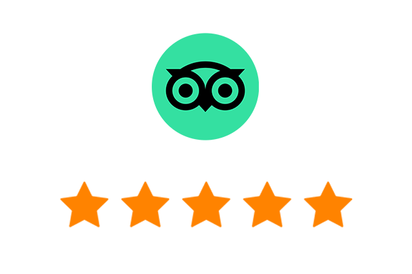 TripAdvisor Review2.png