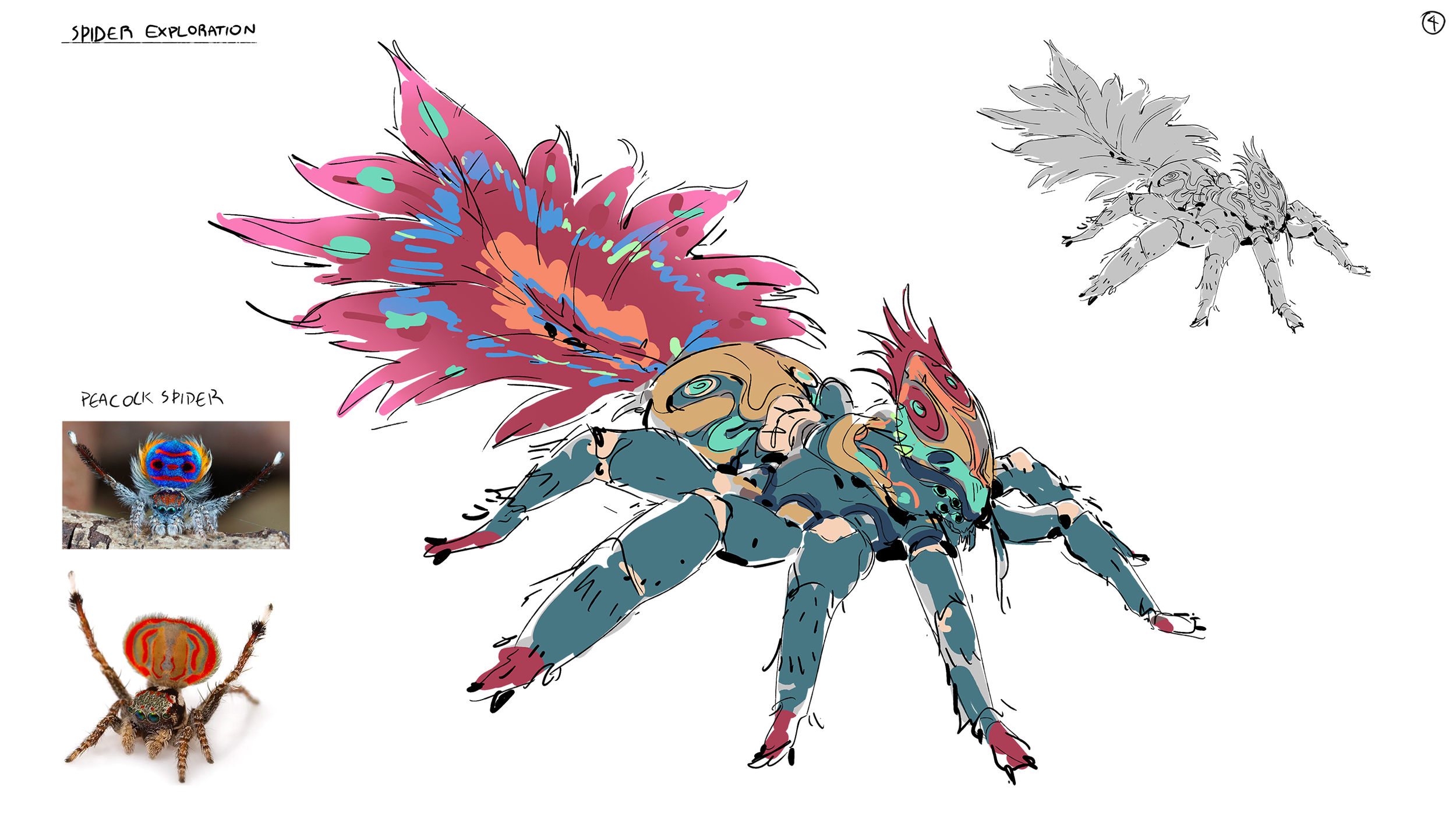 O2_Spider_Sketches_004.png