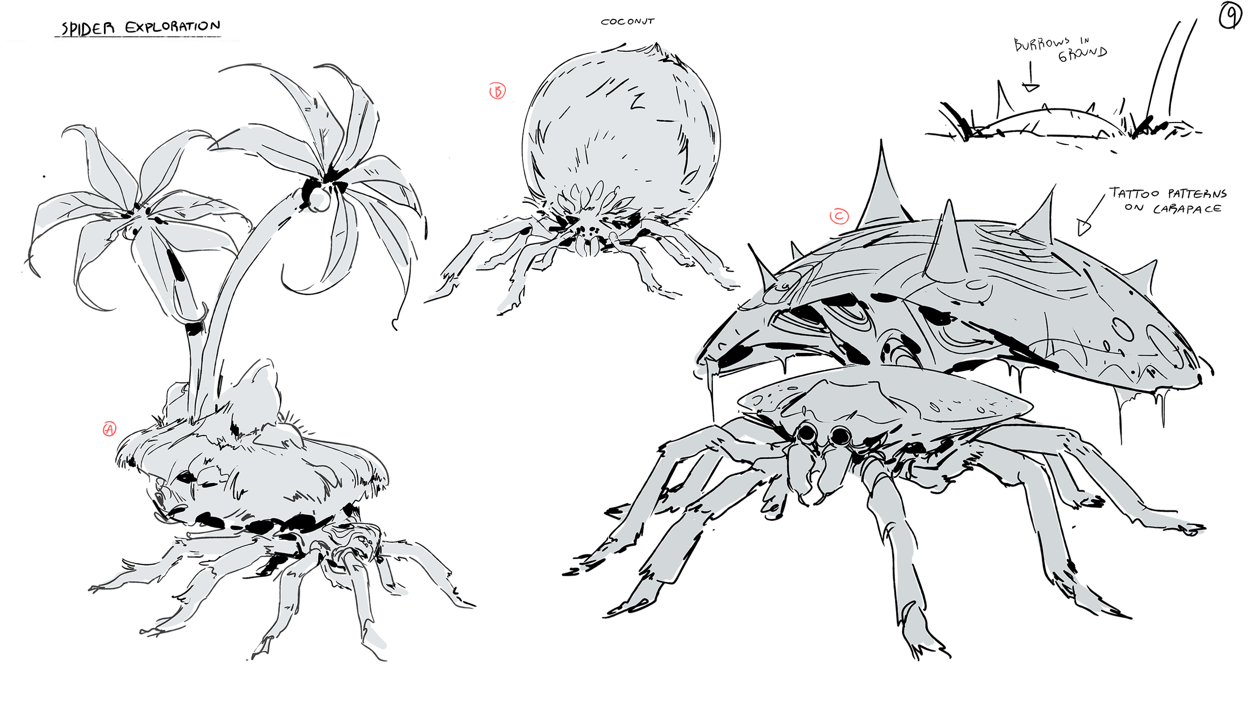 O2_Spider_Sketches_009.png