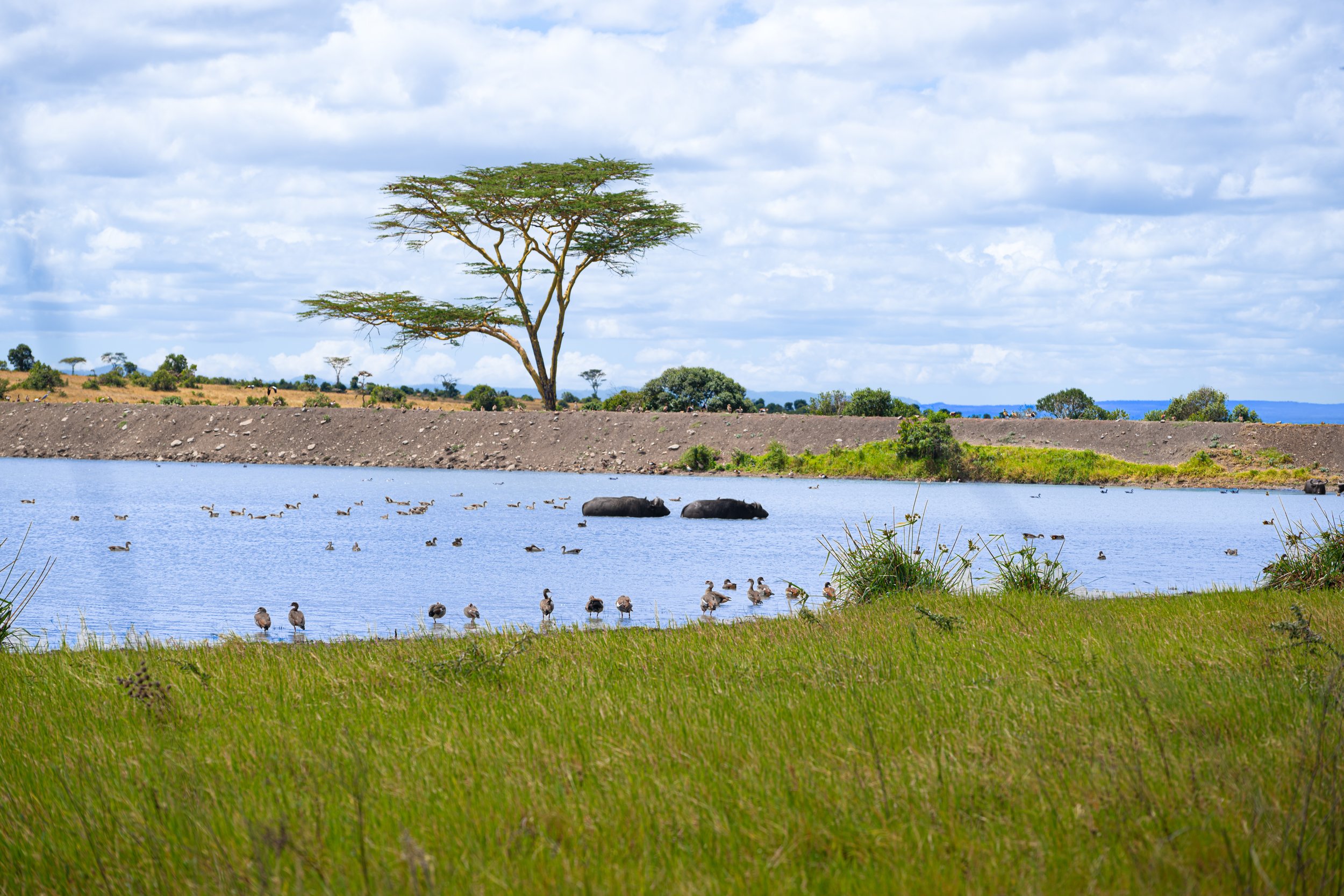Africa2026VZ8_21532026.jpg